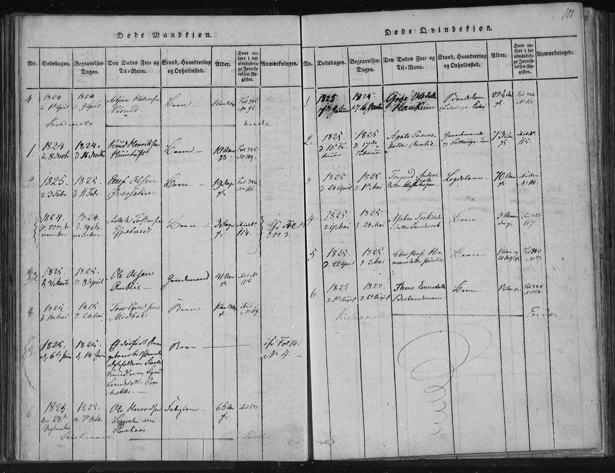 Lårdal kirkebøker, SAKO/A-284/F/Fc/L0001: Parish register (official) no. III 1, 1815-1860, p. 101