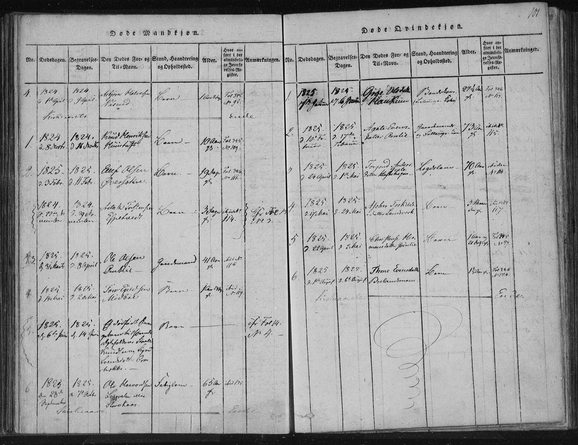 Lårdal kirkebøker, AV/SAKO-A-284/F/Fc/L0001: Parish register (official) no. III 1, 1815-1860, p. 101