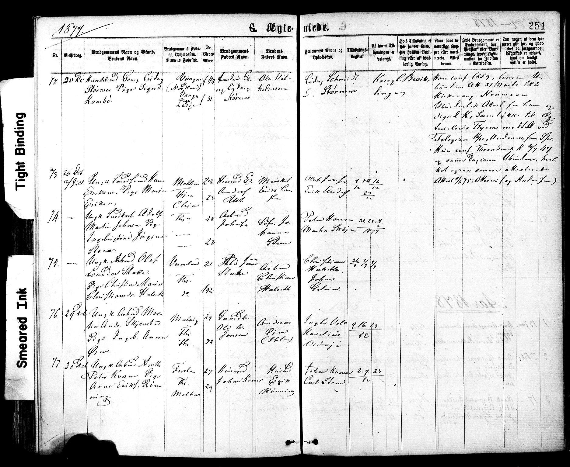 Ministerialprotokoller, klokkerbøker og fødselsregistre - Sør-Trøndelag, AV/SAT-A-1456/602/L0118: Parish register (official) no. 602A16, 1873-1879, p. 251