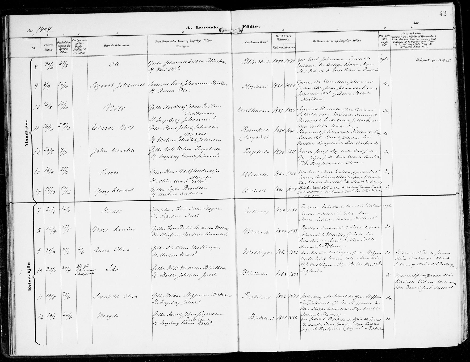 Hamre sokneprestembete, AV/SAB-A-75501/H/Ha/Haa/Haad/L0002: Parish register (official) no. D 2, 1899-1916, p. 42