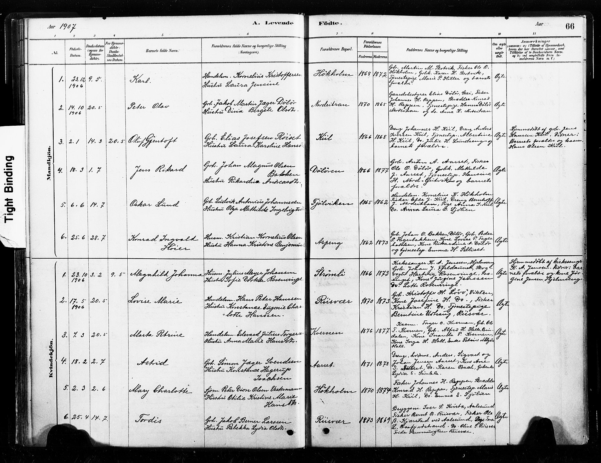 Ministerialprotokoller, klokkerbøker og fødselsregistre - Nord-Trøndelag, SAT/A-1458/789/L0705: Parish register (official) no. 789A01, 1878-1910, p. 66