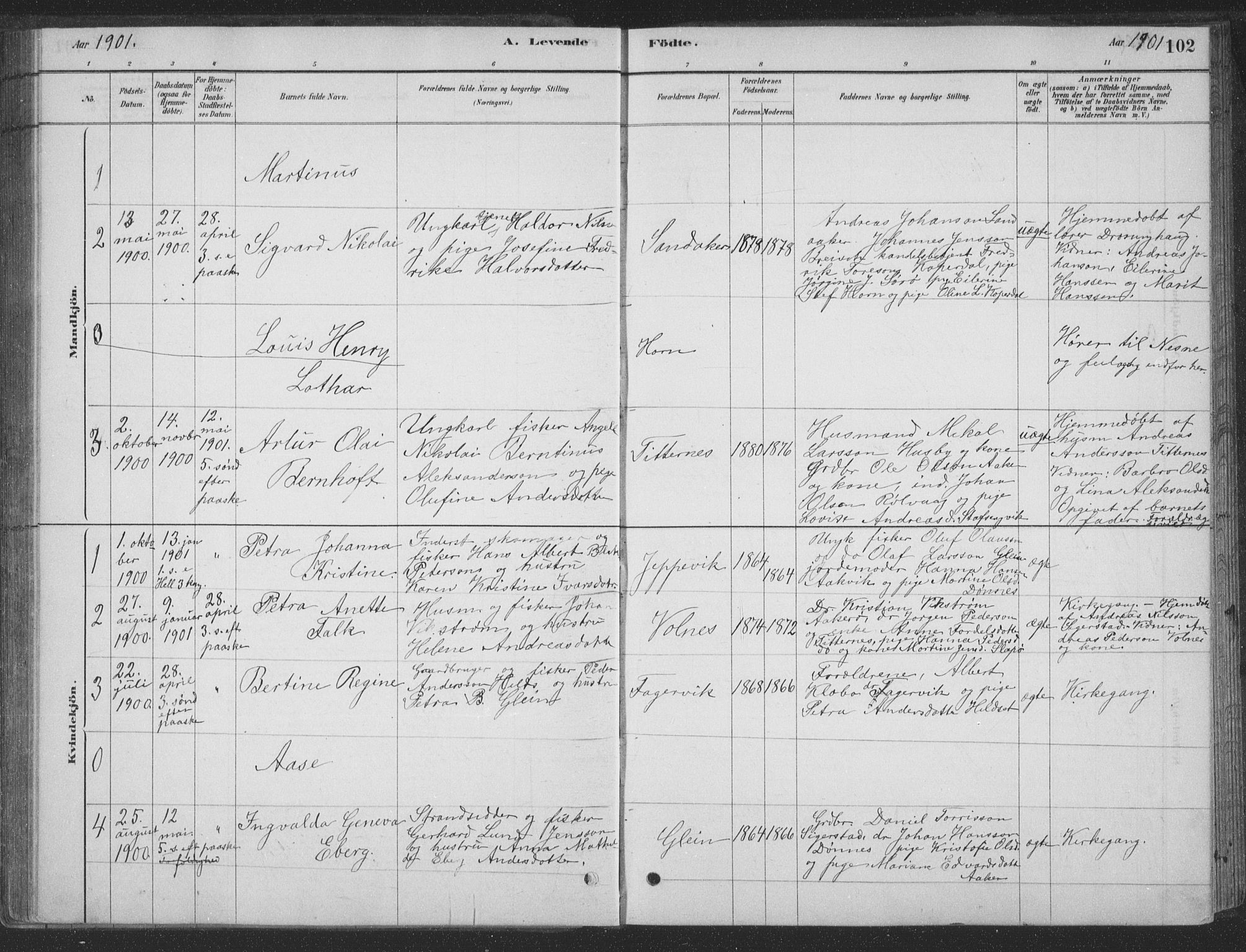 Ministerialprotokoller, klokkerbøker og fødselsregistre - Nordland, SAT/A-1459/835/L0532: Parish register (copy) no. 835C04, 1880-1905, p. 102