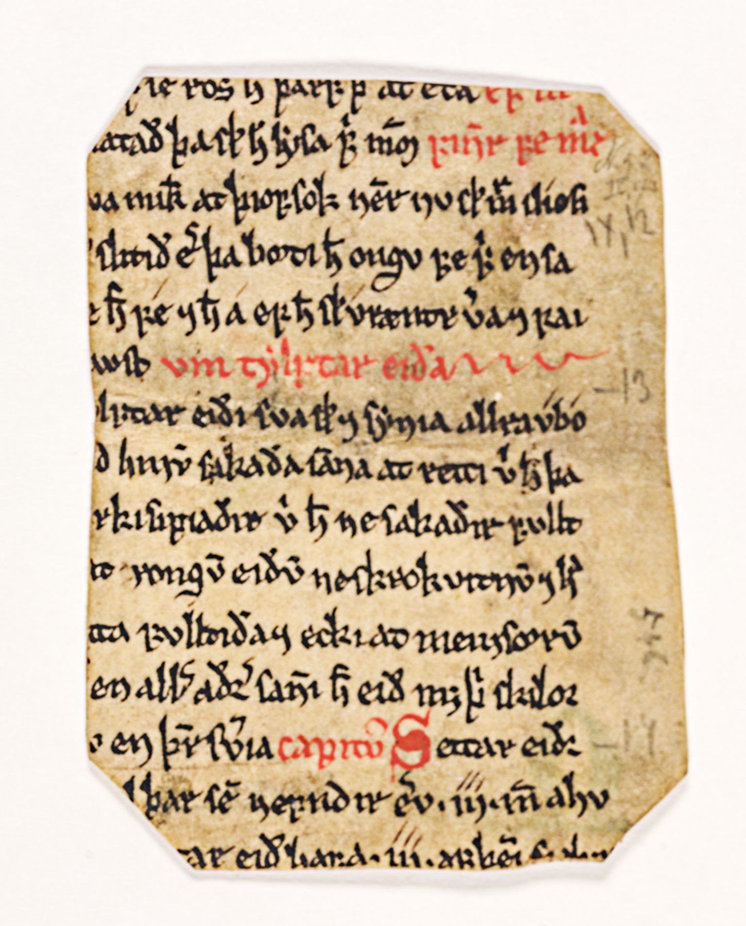 Riksarkivets diplomsamling, RA/EA-5965/F26/L0002: Norrøne membranfragmenter bestand 2-9 (10), 1100-1536, p. 287