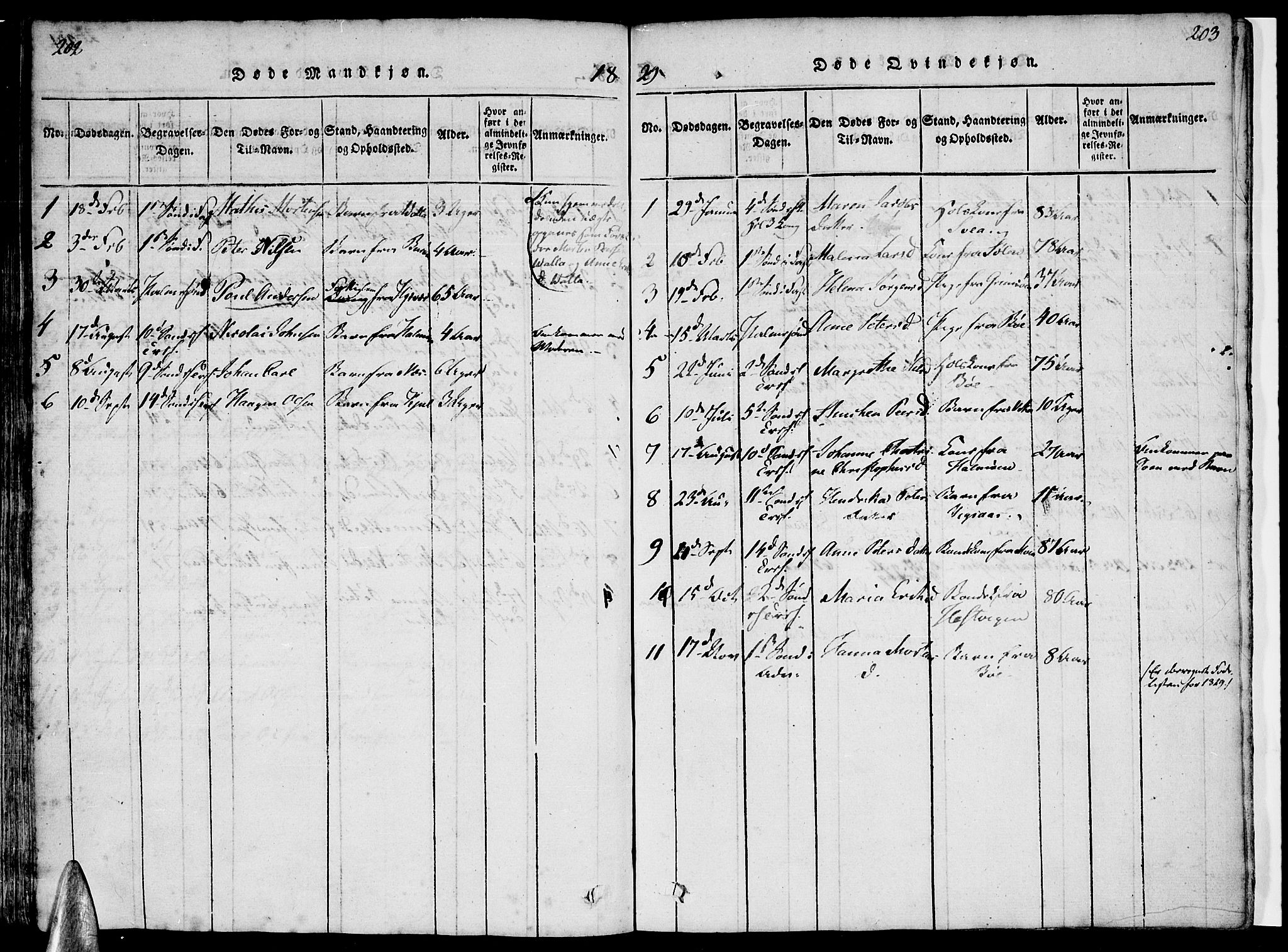 Ministerialprotokoller, klokkerbøker og fødselsregistre - Nordland, AV/SAT-A-1459/816/L0239: Parish register (official) no. 816A05, 1820-1845, p. 202-203