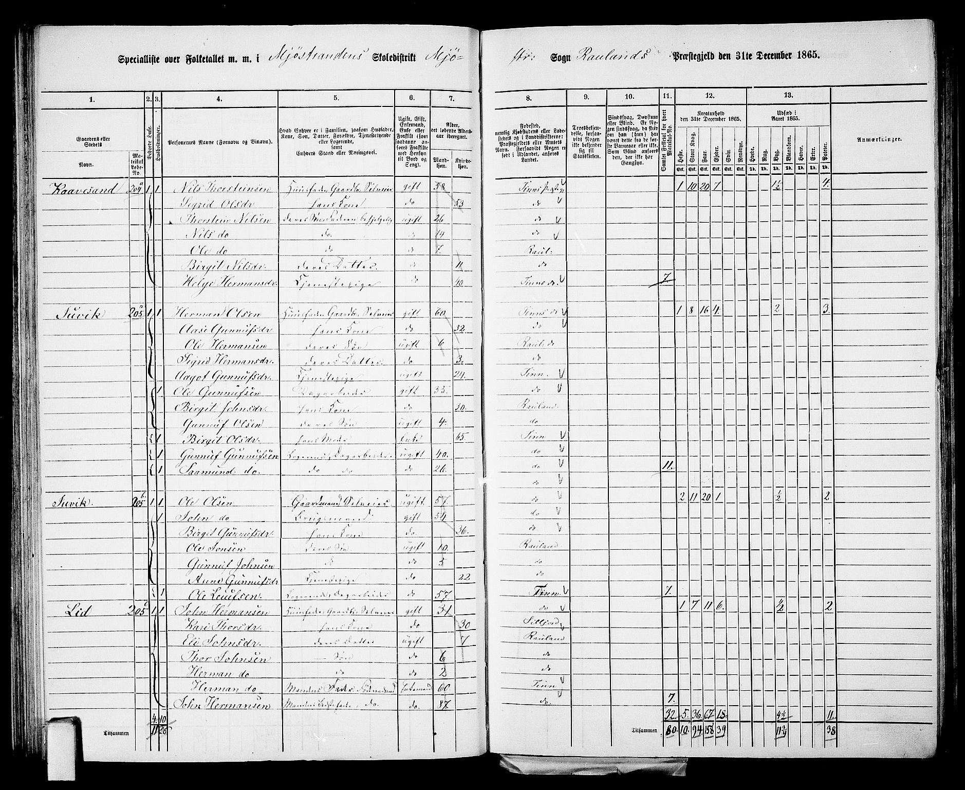 RA, 1865 census for Rauland, 1865, p. 55