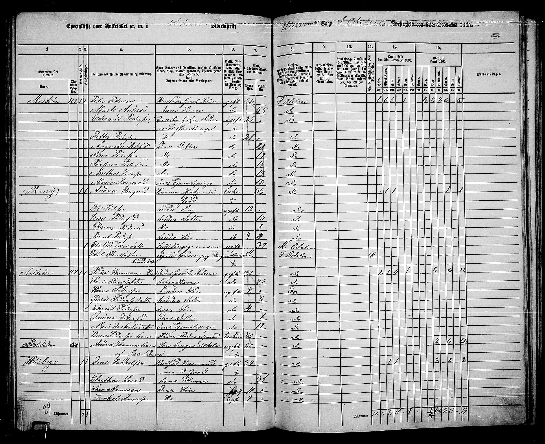 RA, 1865 census for Sør-Odal, 1865, p. 205