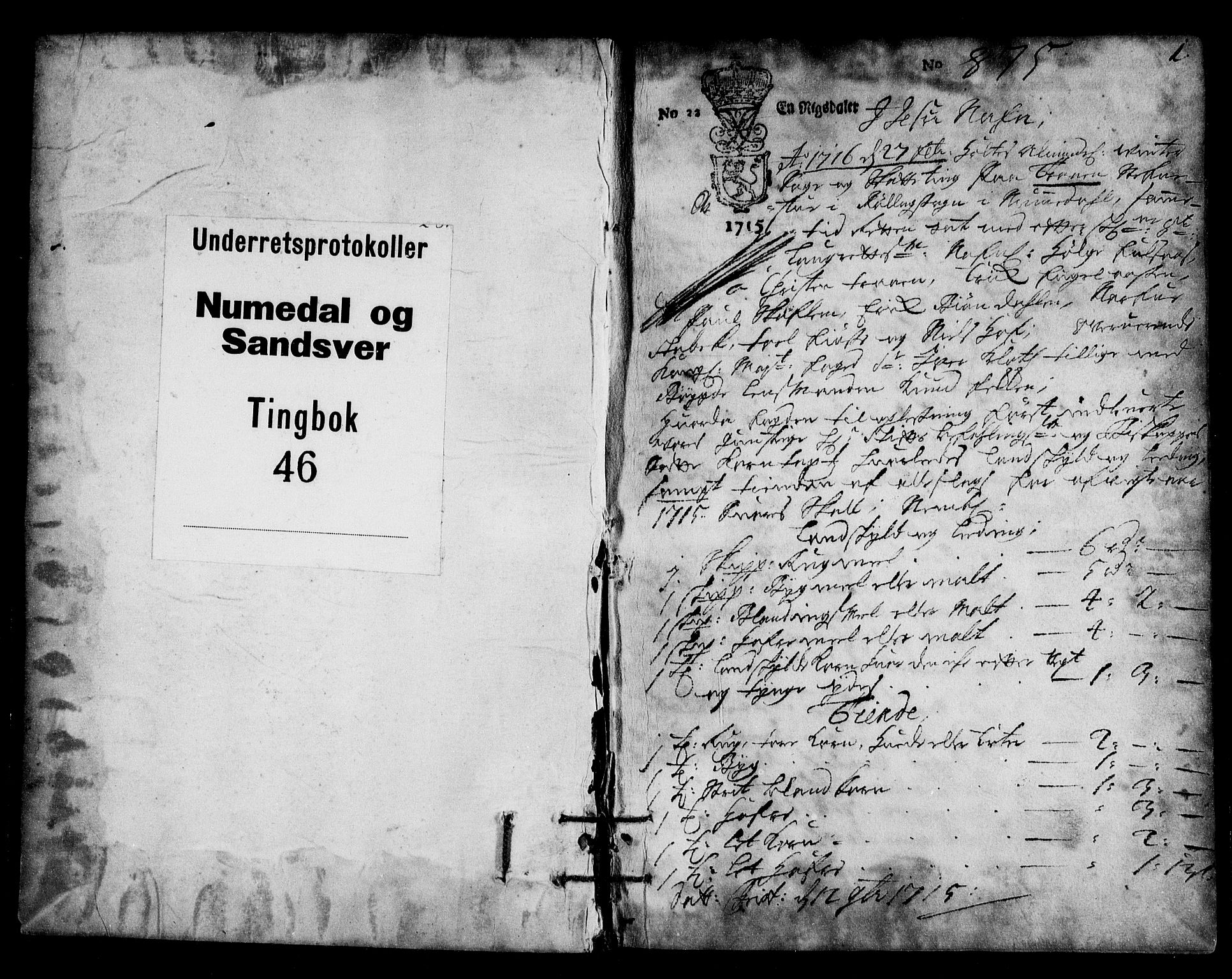 Numedal og Sandsvær sorenskriveri, SAKO/A-128/F/Fa/Faa/L0046: Tingbøker, 1716, p. 0b-1a
