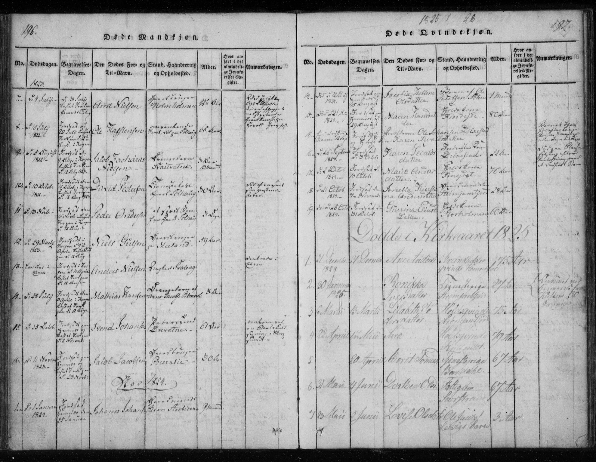 Ministerialprotokoller, klokkerbøker og fødselsregistre - Nordland, SAT/A-1459/825/L0353: Parish register (official) no. 825A07, 1820-1826, p. 196-197