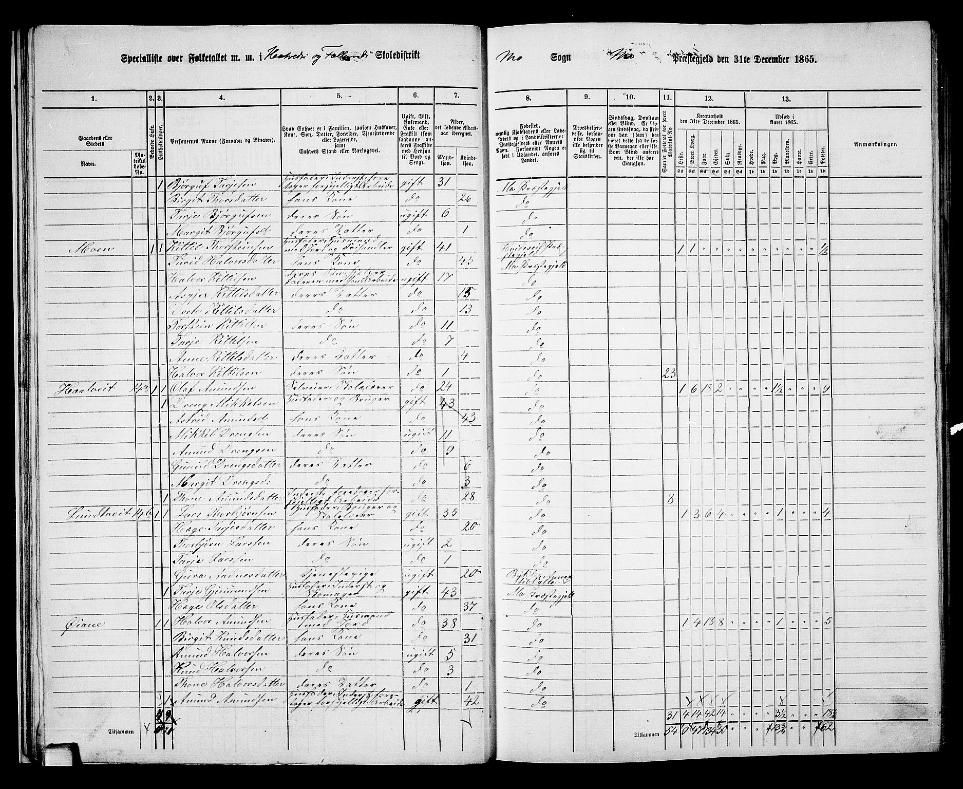 RA, 1865 census for Mo, 1865, p. 24