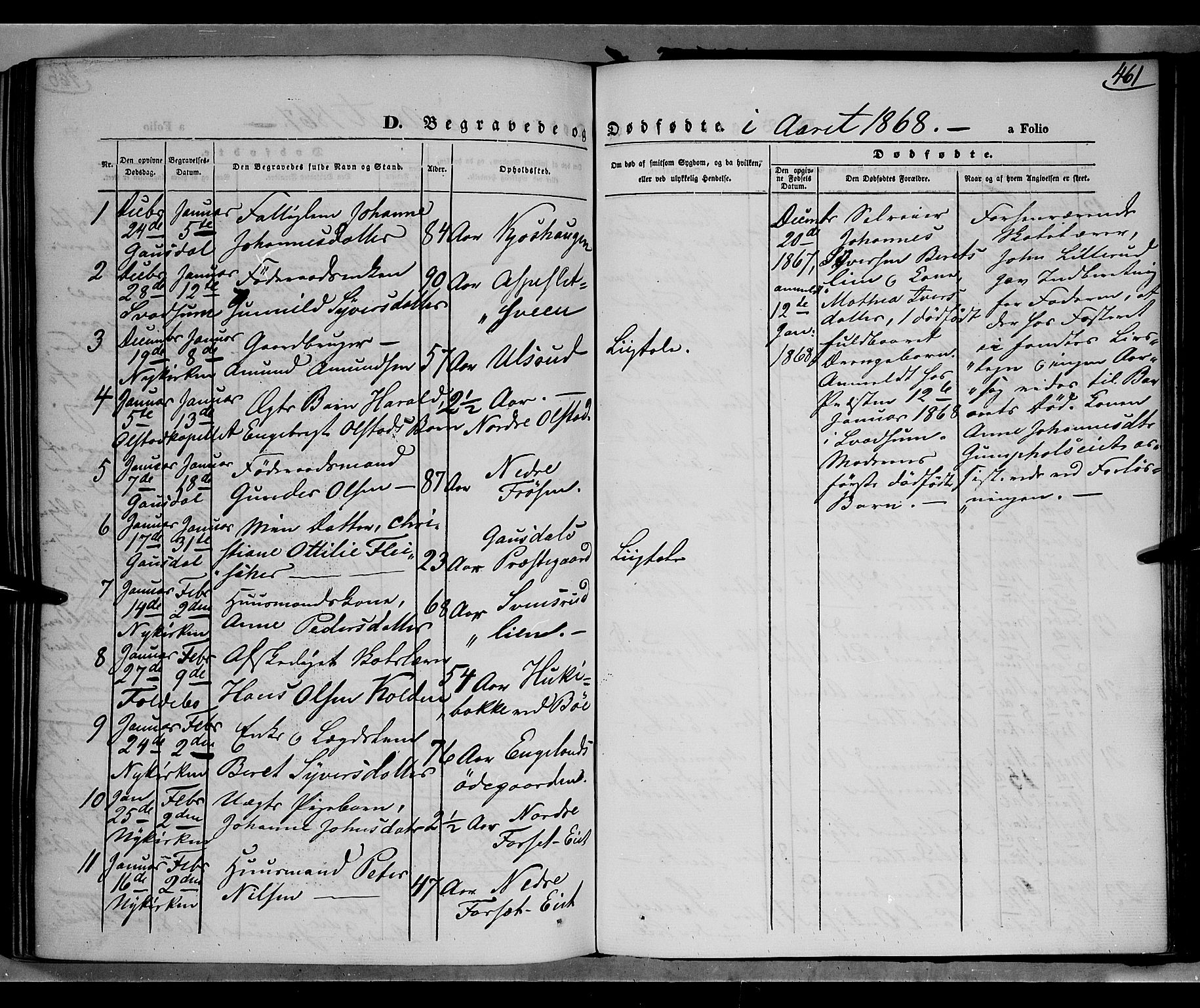 Gausdal prestekontor, SAH/PREST-090/H/Ha/Haa/L0009: Parish register (official) no. 9, 1862-1873, p. 461