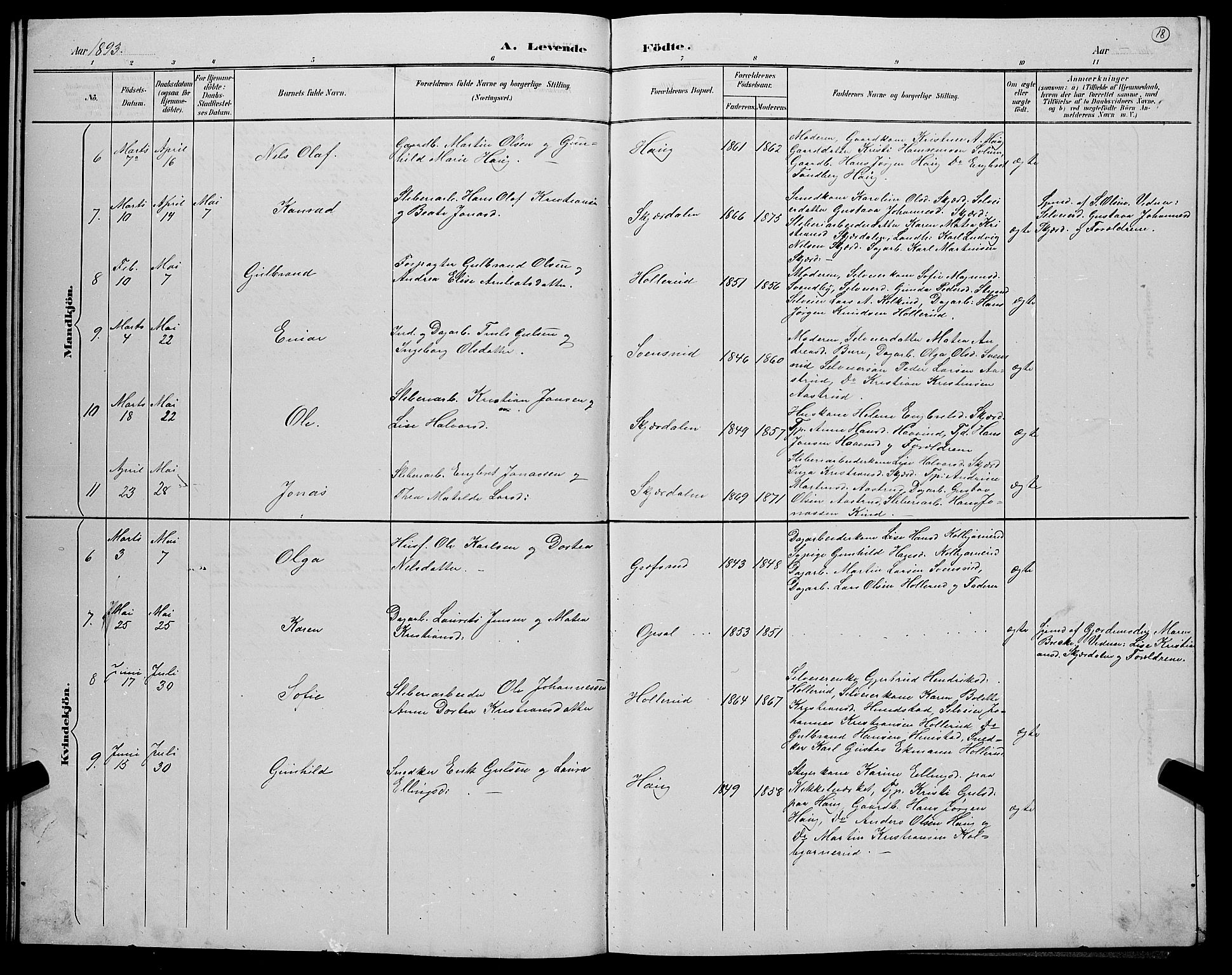 Hole kirkebøker, SAKO/A-228/G/Gb/L0003: Parish register (copy) no. II 3, 1890-1901, p. 18