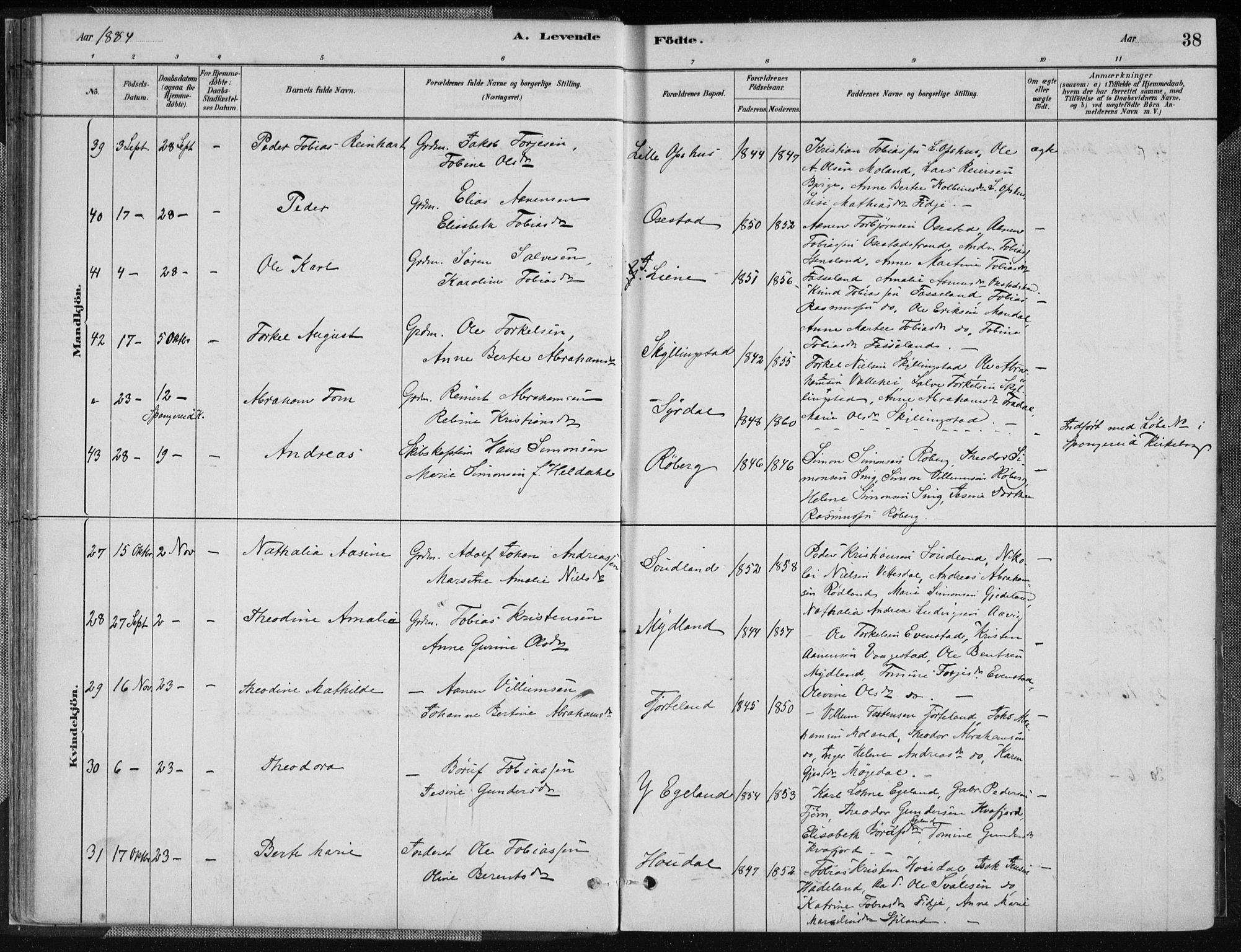 Sør-Audnedal sokneprestkontor, AV/SAK-1111-0039/F/Fa/Fab/L0009: Parish register (official) no. A 9, 1880-1895, p. 38