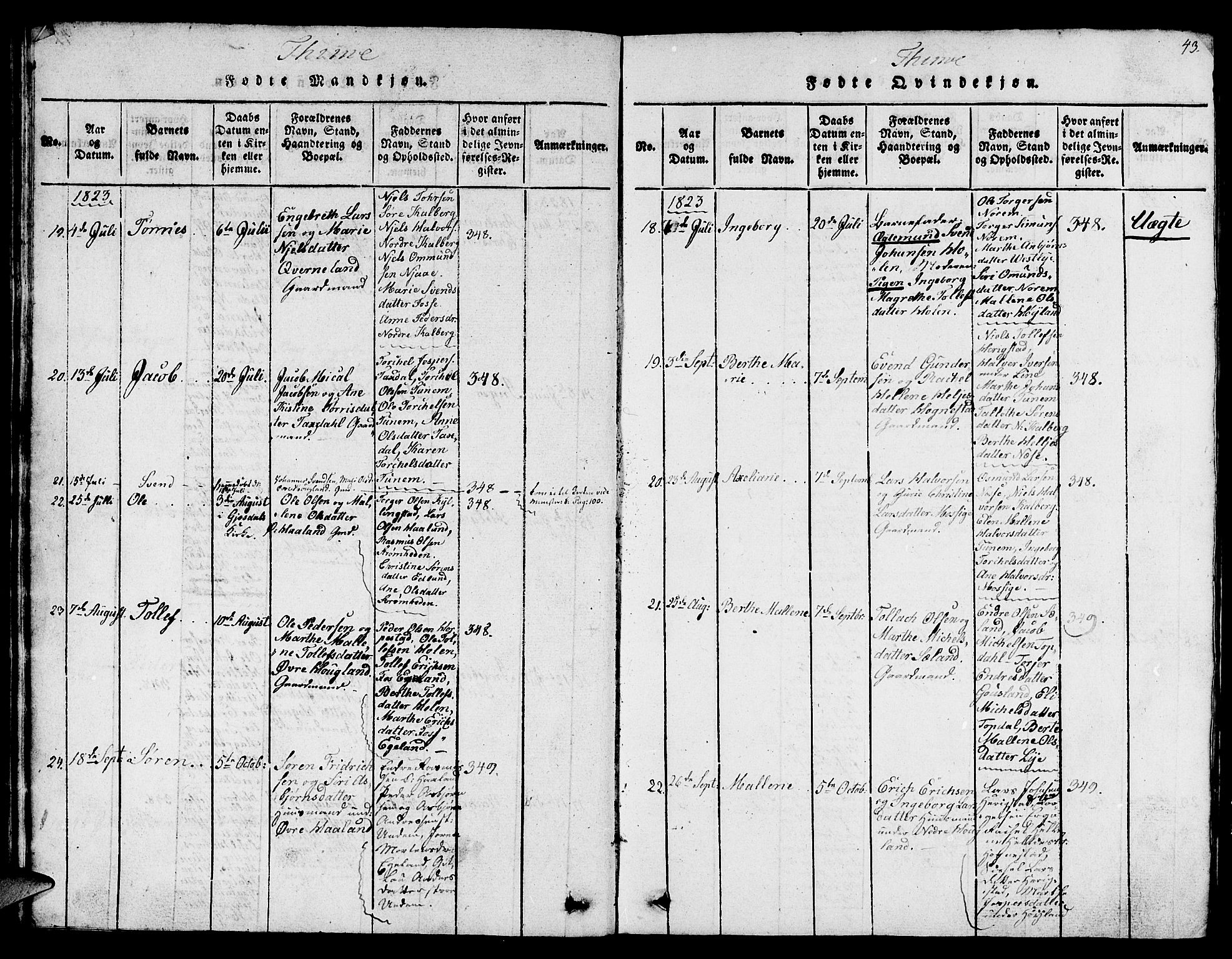 Lye sokneprestkontor, AV/SAST-A-101794/001/30BB/L0001: Parish register (copy) no. B 1 /1, 1816-1826, p. 43