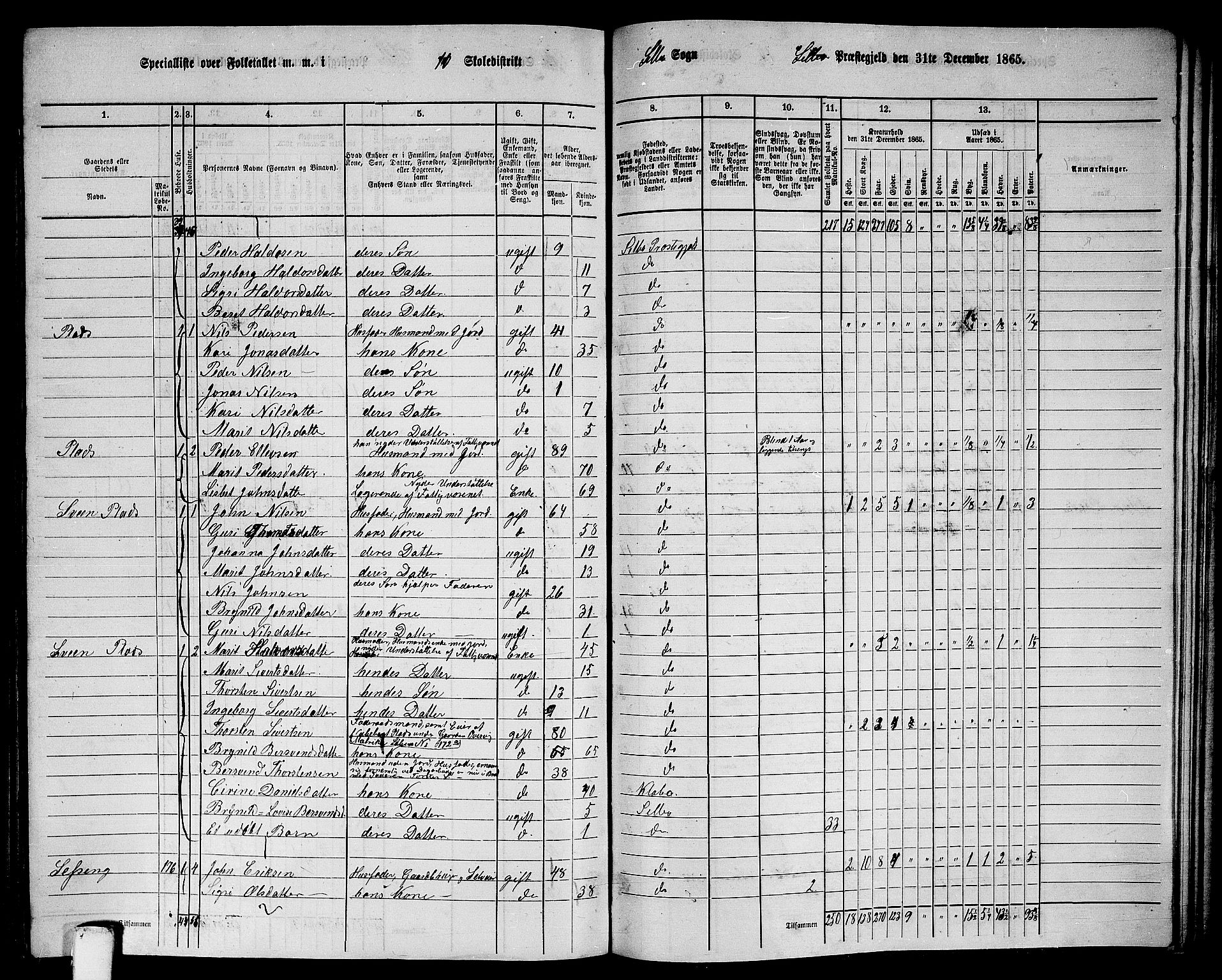 RA, 1865 census for Selbu, 1865, p. 186