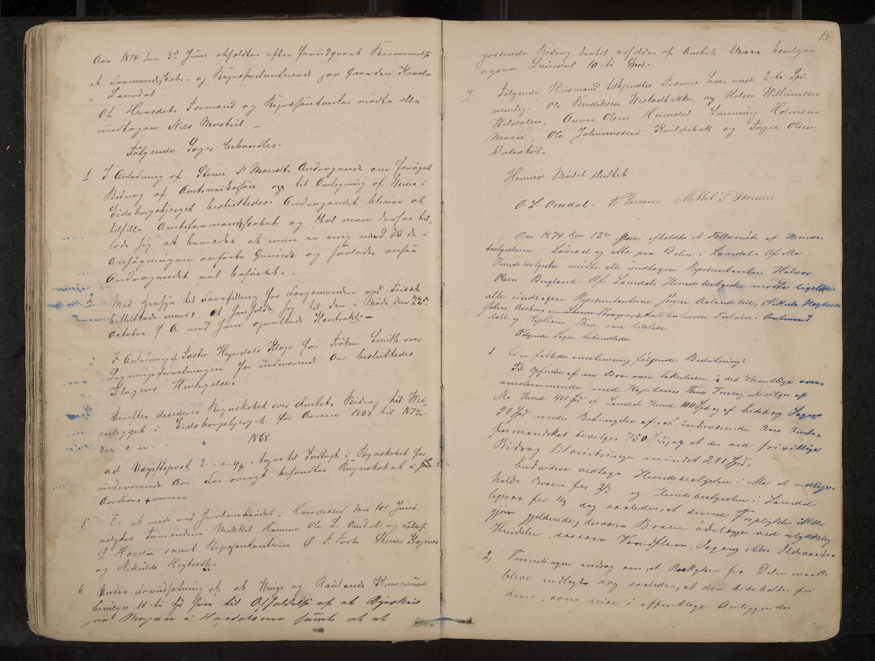 Lårdal formannskap og sentraladministrasjon, IKAK/0833021/A/L0002: Møtebok, 1865-1893, p. 75