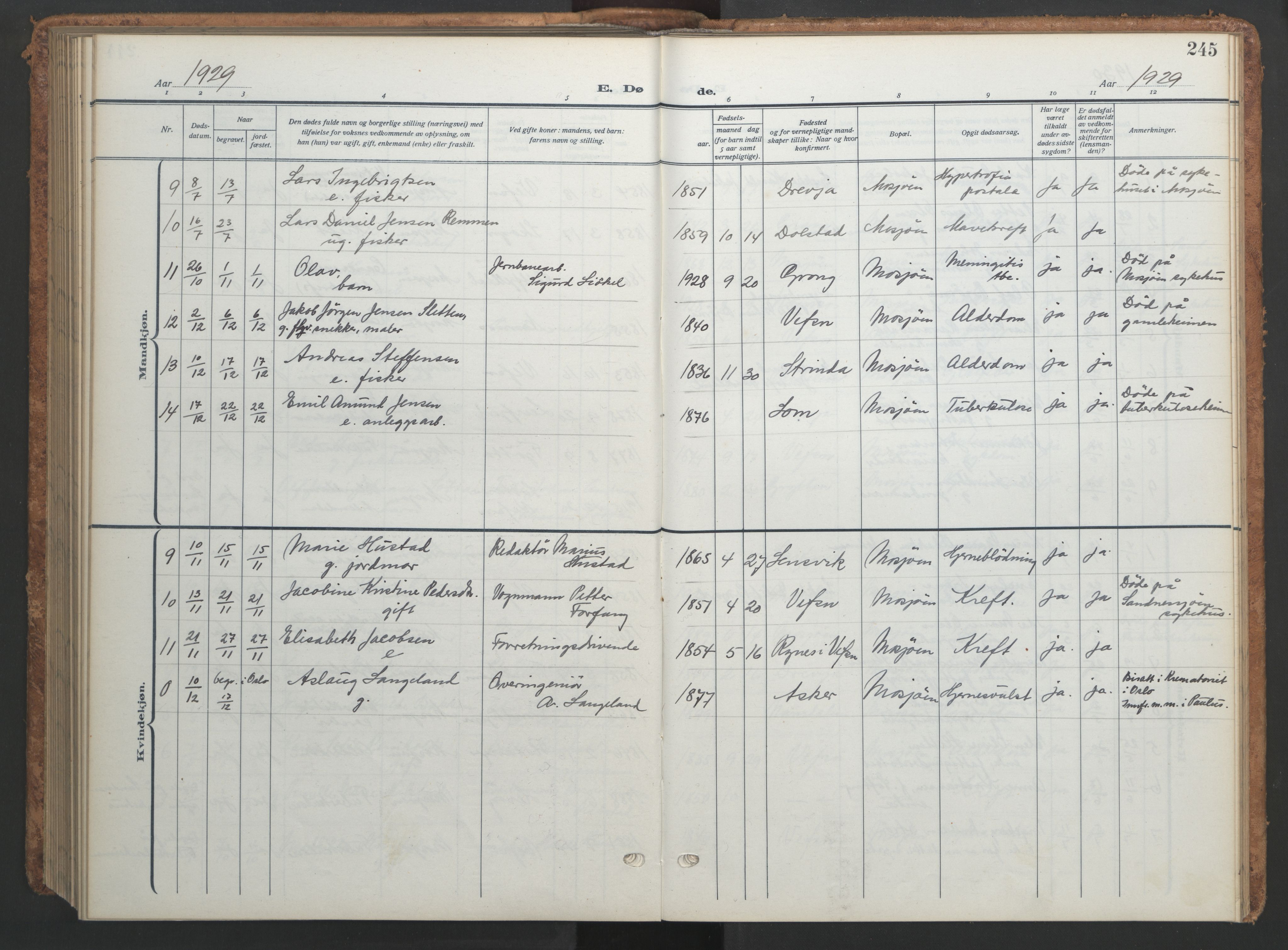 Ministerialprotokoller, klokkerbøker og fødselsregistre - Nordland, AV/SAT-A-1459/820/L0303: Parish register (copy) no. 820C05, 1917-1952, p. 245