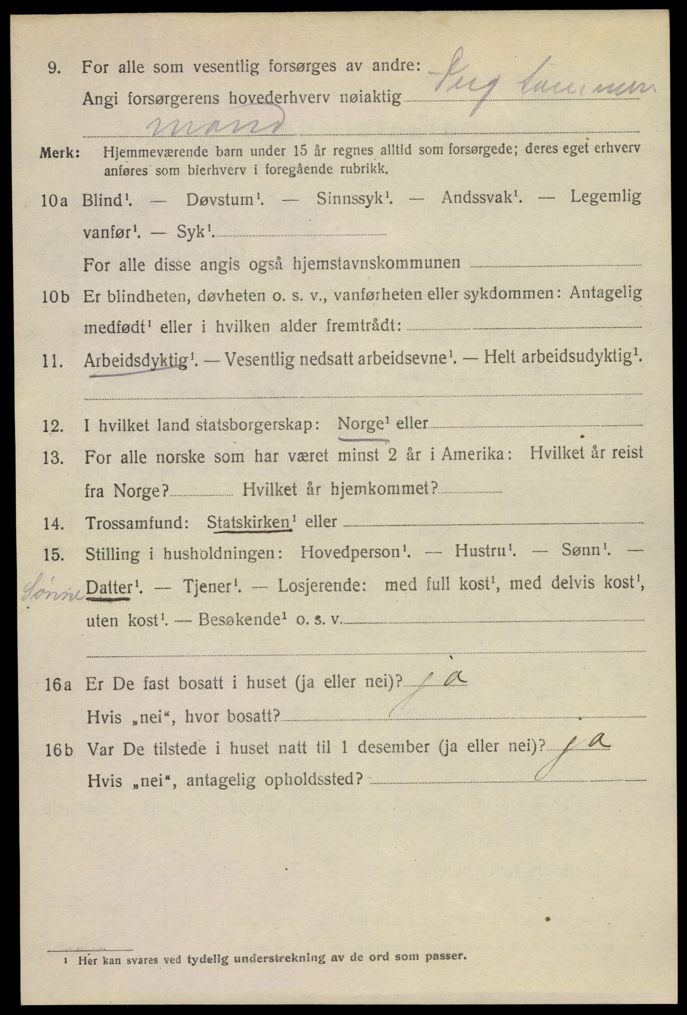 SAKO, 1920 census for Horten, 1920, p. 17528