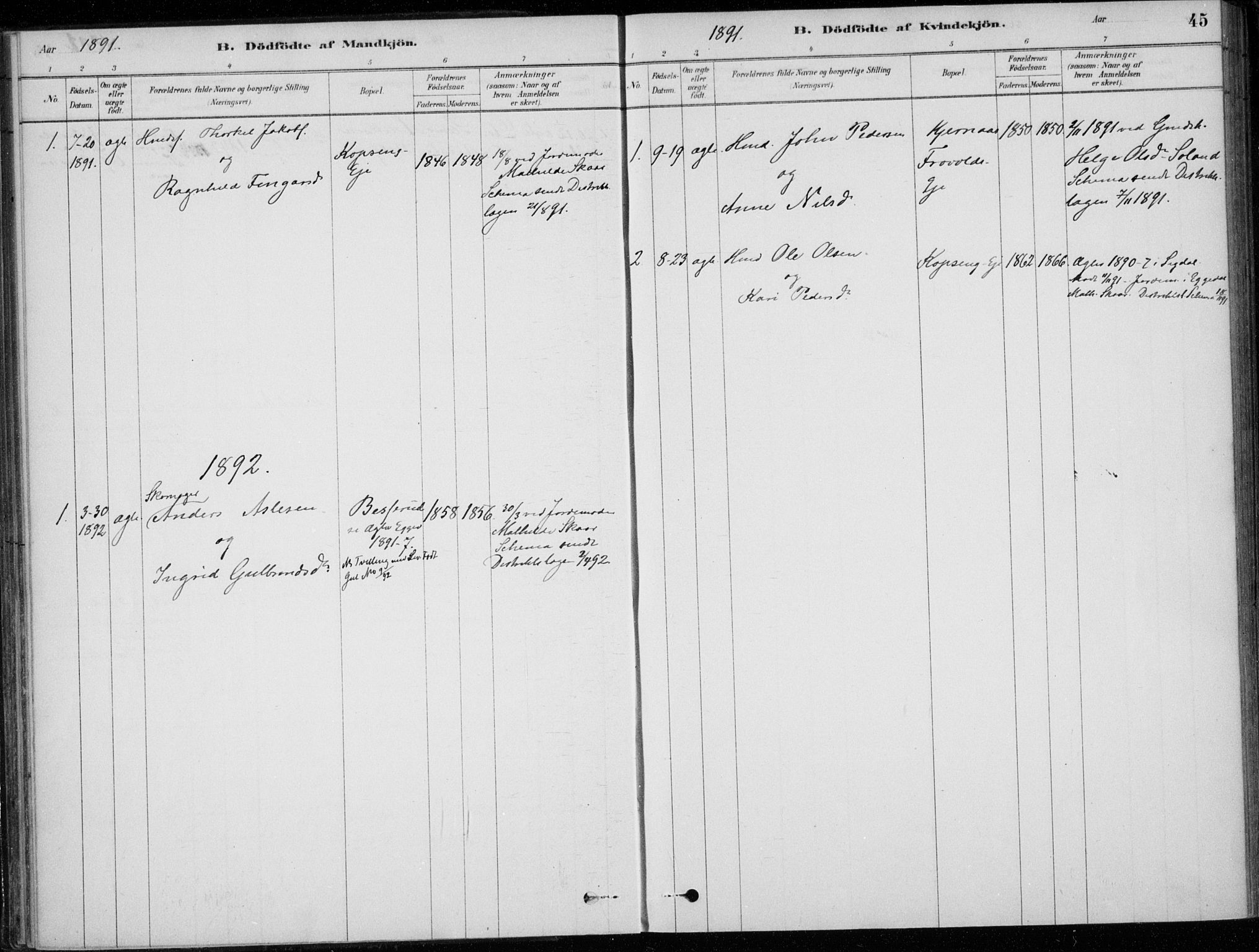 Sigdal kirkebøker, SAKO/A-245/F/Fc/L0001: Parish register (official) no. III 1, 1879-1893, p. 45