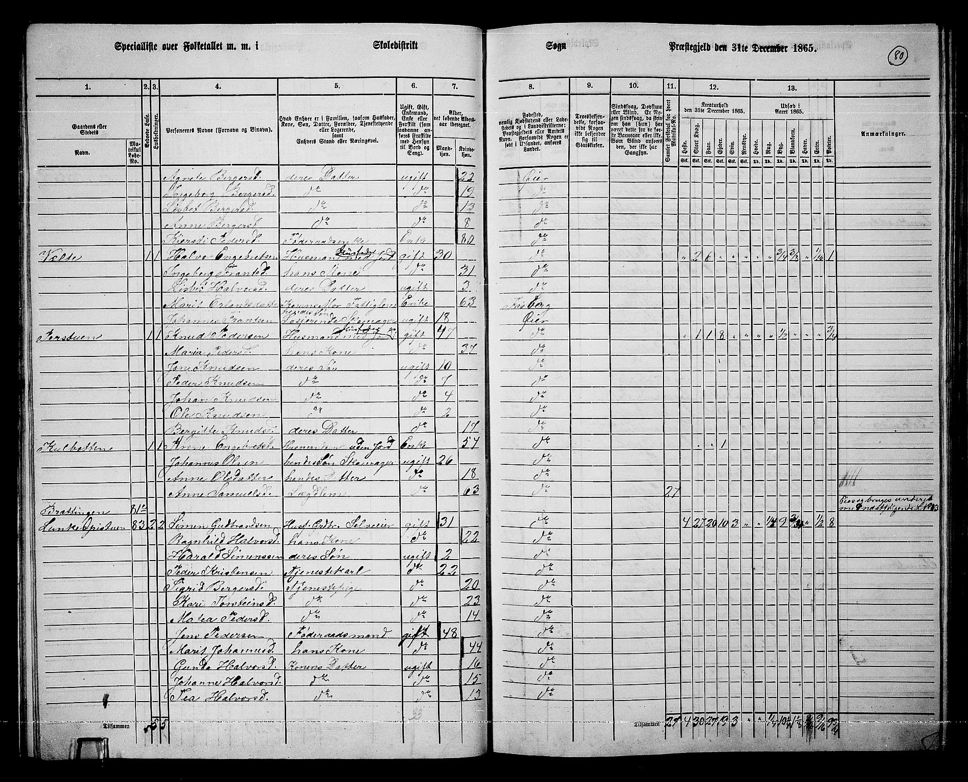 RA, 1865 census for Øyer, 1865, p. 71