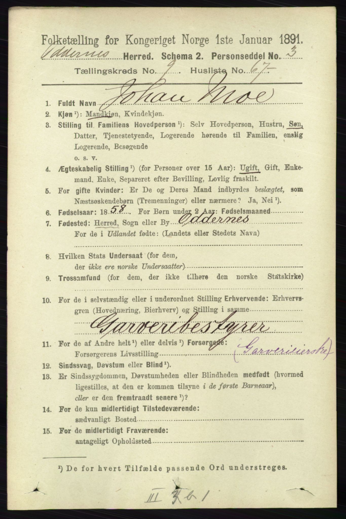 RA, 1891 census for 1012 Oddernes, 1891, p. 3685