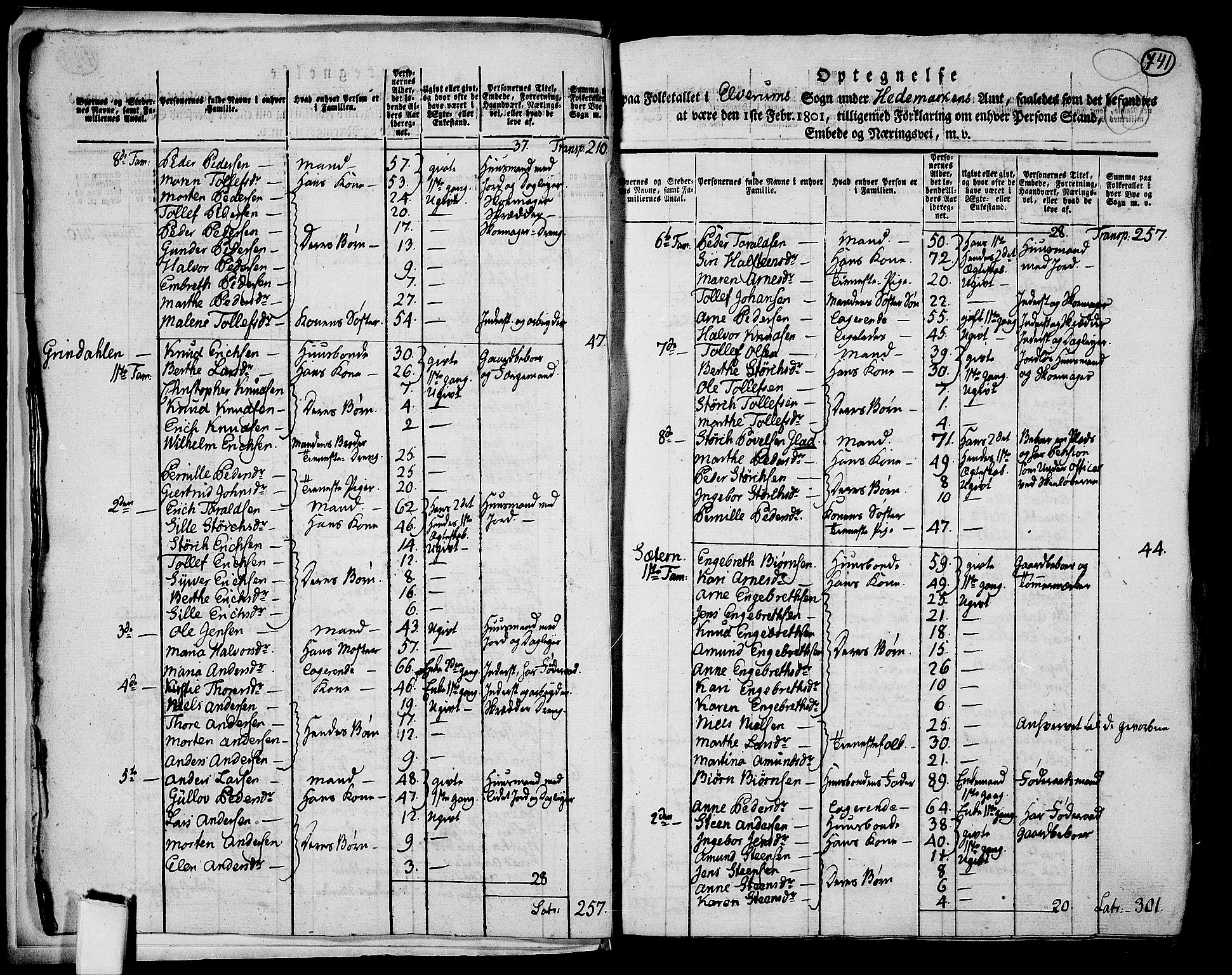 RA, 1801 census for 0427P Elverum, 1801, p. 740b-741a