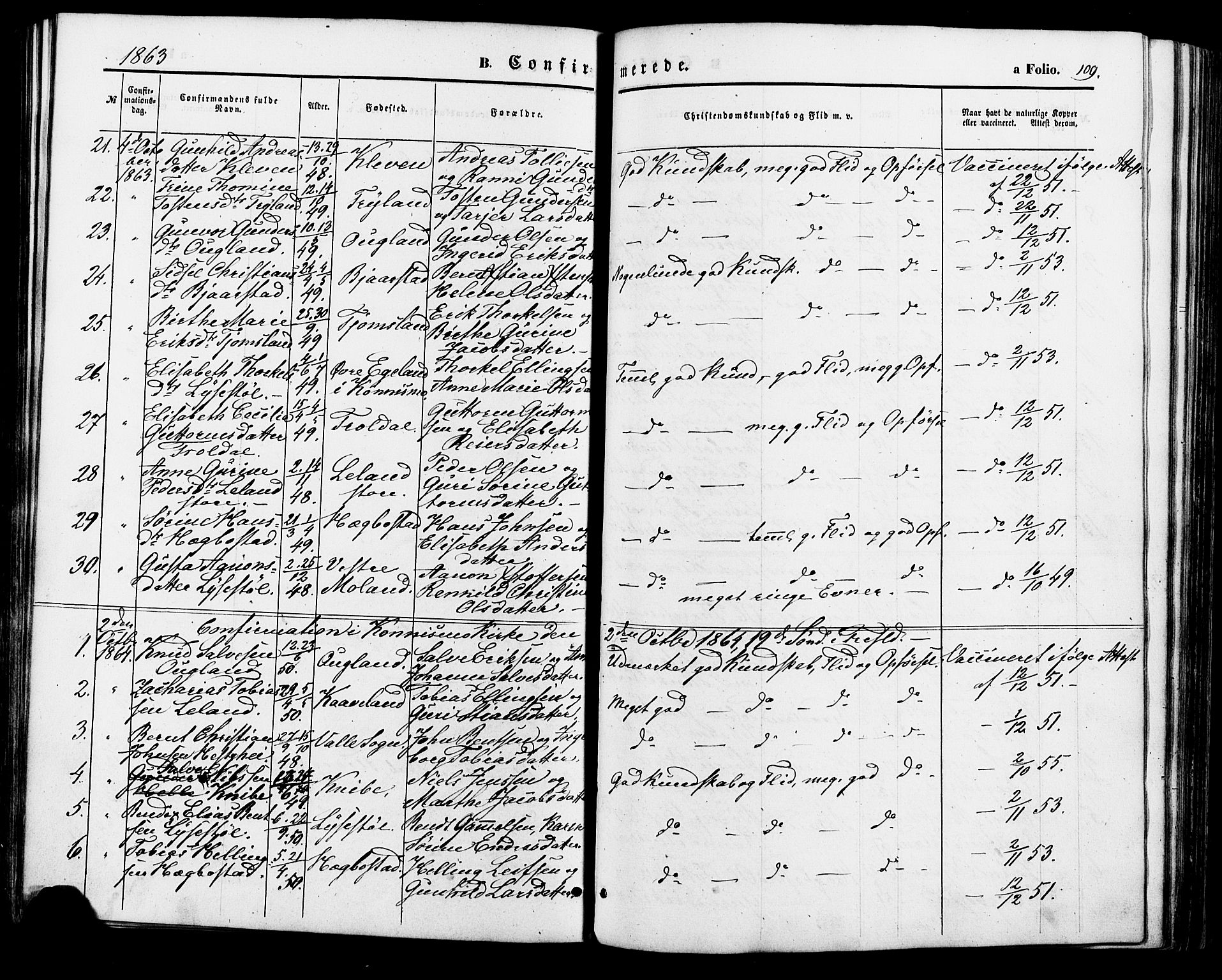 Nord-Audnedal sokneprestkontor, AV/SAK-1111-0032/F/Fa/Fab/L0002: Parish register (official) no. A 2, 1859-1882, p. 109