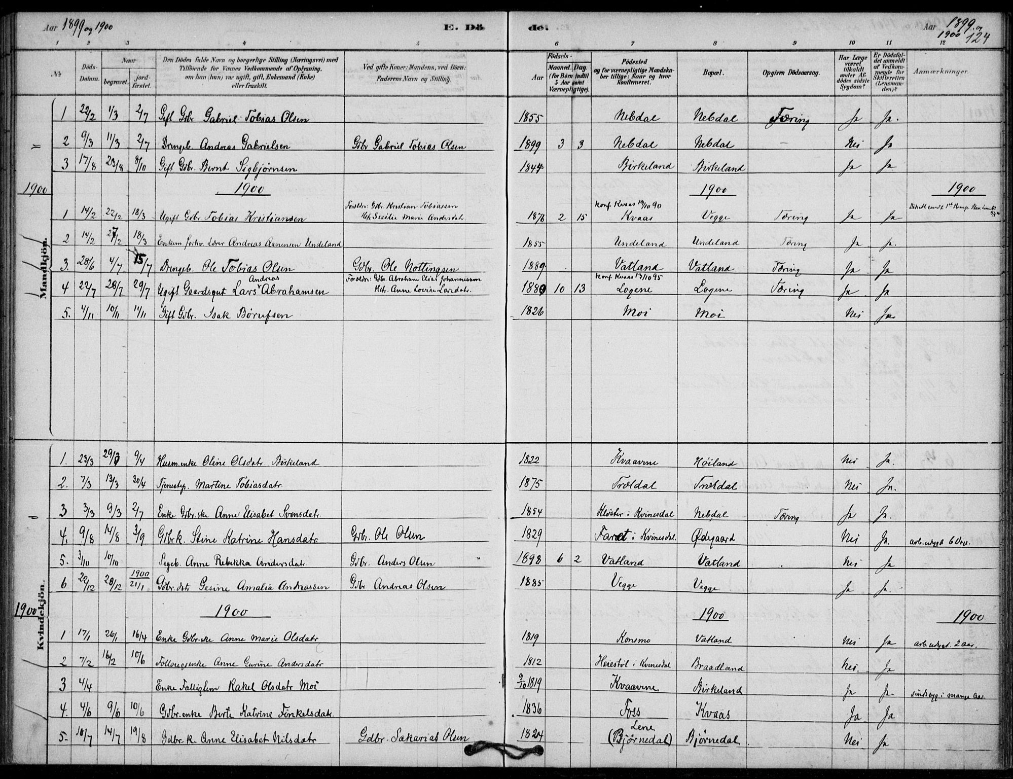 Lyngdal sokneprestkontor, AV/SAK-1111-0029/F/Fa/Fab/L0003: Parish register (official) no. A 3, 1878-1903, p. 124