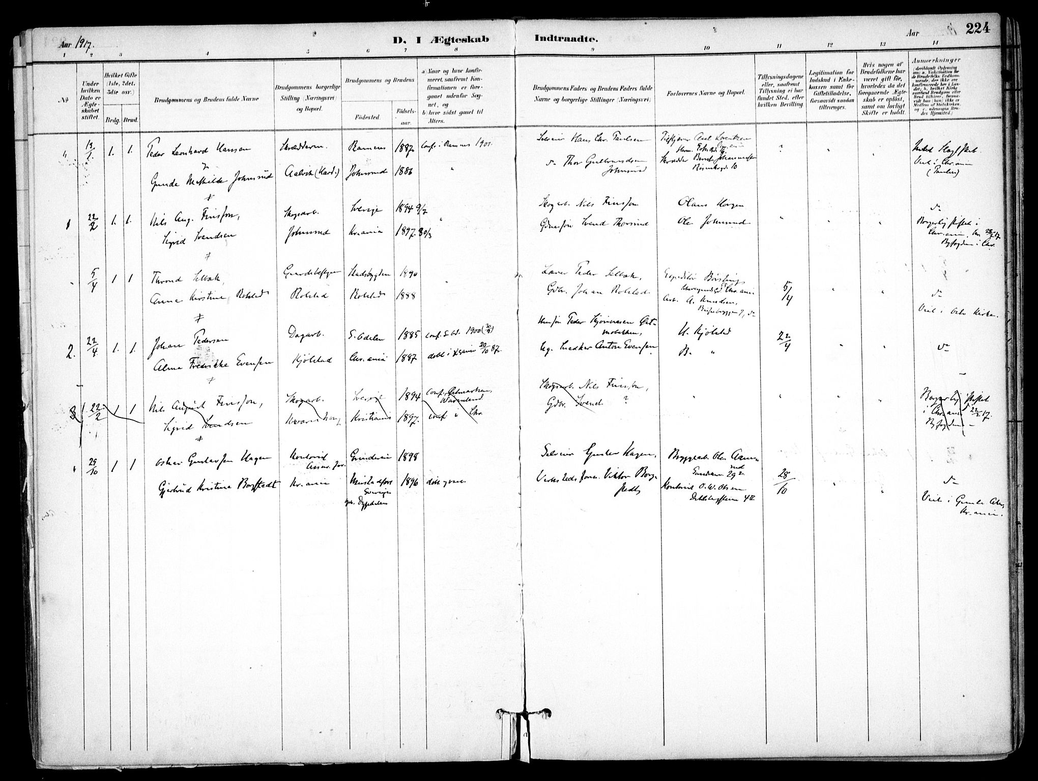 Nes prestekontor Kirkebøker, SAO/A-10410/F/Fb/L0002: Parish register (official) no. II 2, 1883-1918, p. 224