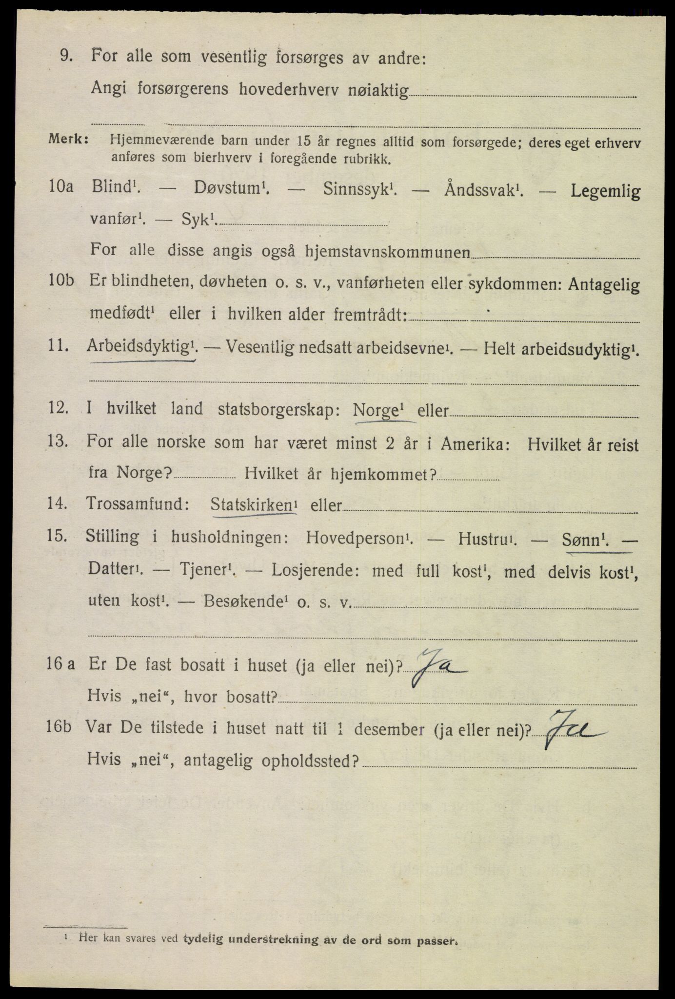 SAH, 1920 census for Vang (Hedmark), 1920, p. 18626