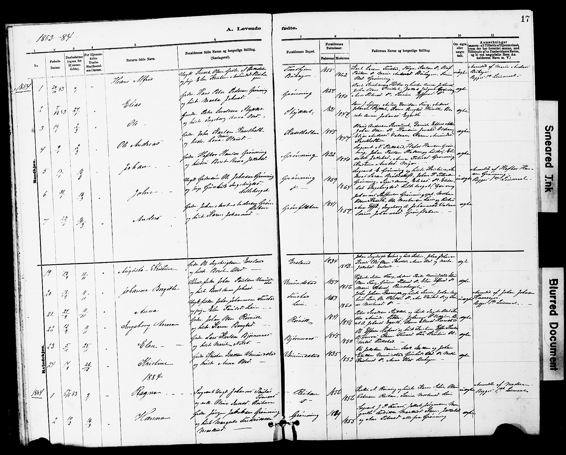 Ministerialprotokoller, klokkerbøker og fødselsregistre - Sør-Trøndelag, SAT/A-1456/646/L0628: Parish register (copy) no. 646C01, 1880-1903, p. 17