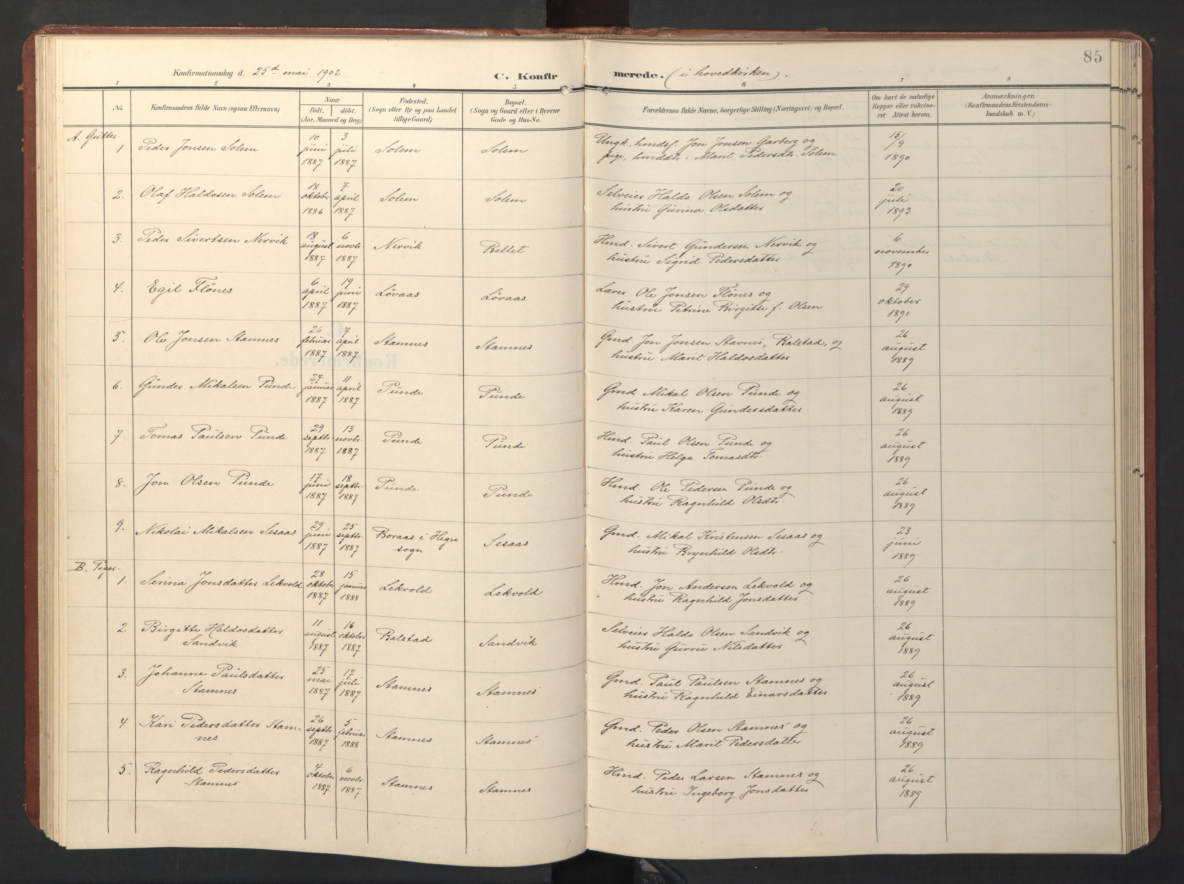 Ministerialprotokoller, klokkerbøker og fødselsregistre - Sør-Trøndelag, SAT/A-1456/696/L1161: Parish register (copy) no. 696C01, 1902-1950, p. 85