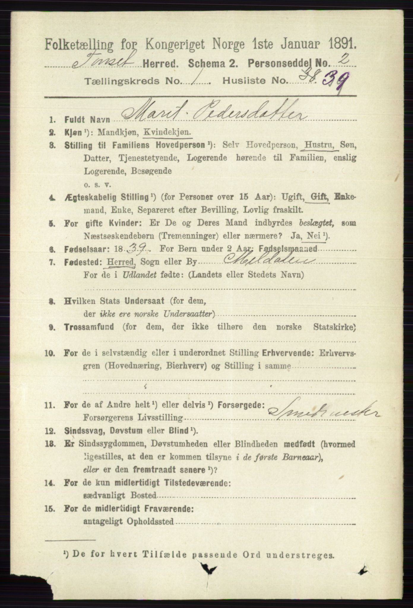 RA, 1891 census for 0437 Tynset, 1891, p. 291