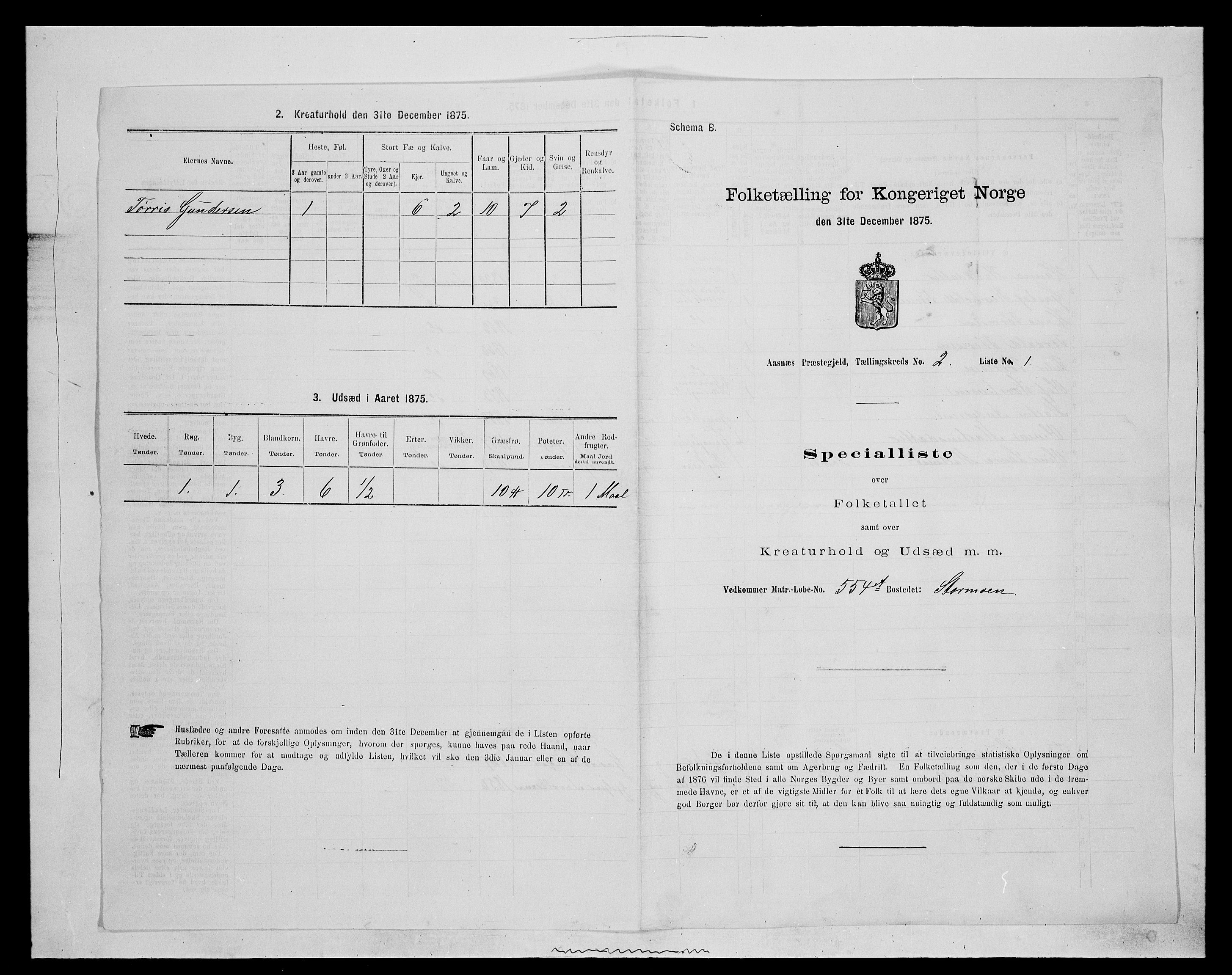 SAH, 1875 census for 0425P Åsnes, 1875, p. 151