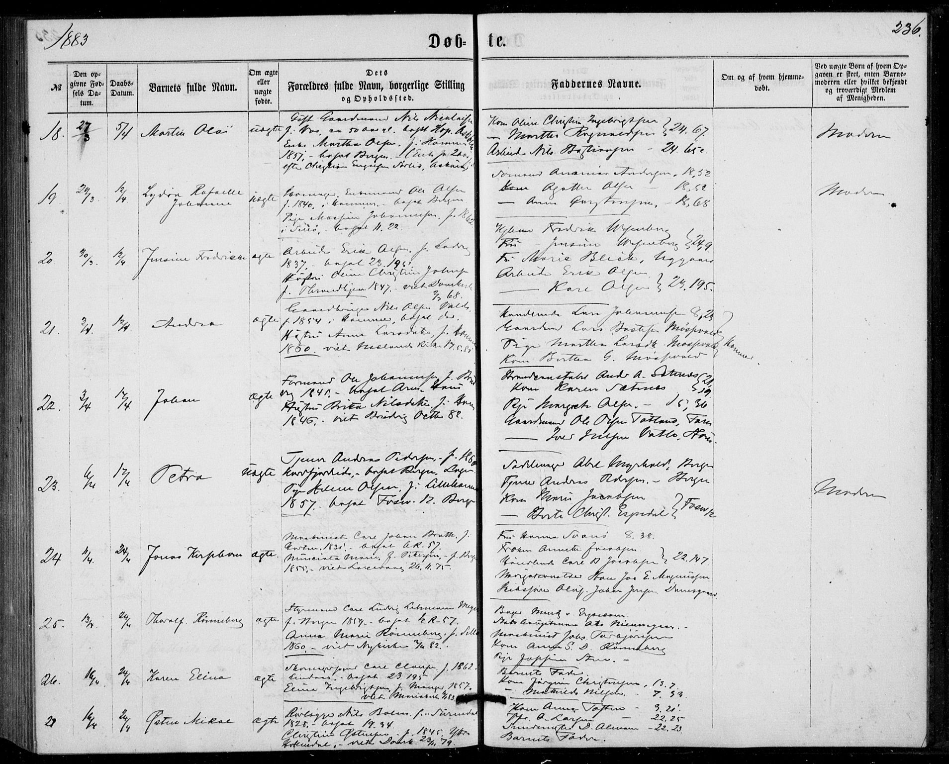 Fødselsstiftelsens sokneprestembete, ført av overlegen*, SAB/-: Parish register (official) no. A 1, 1863-1883, p. 236