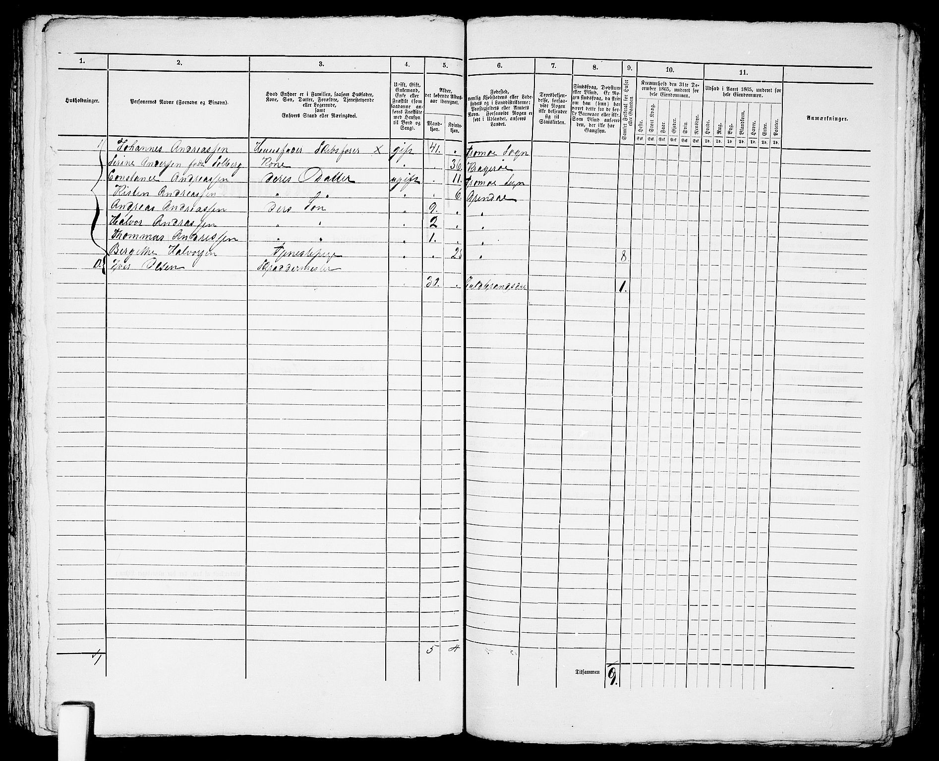 RA, 1865 census for Arendal, 1865, p. 250