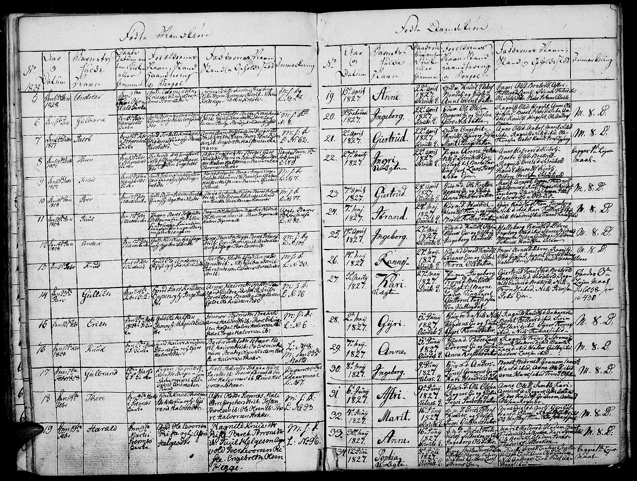 Nord-Aurdal prestekontor, SAH/PREST-132/H/Ha/Haa/L0002: Parish register (official) no. 2, 1816-1828, p. 96g