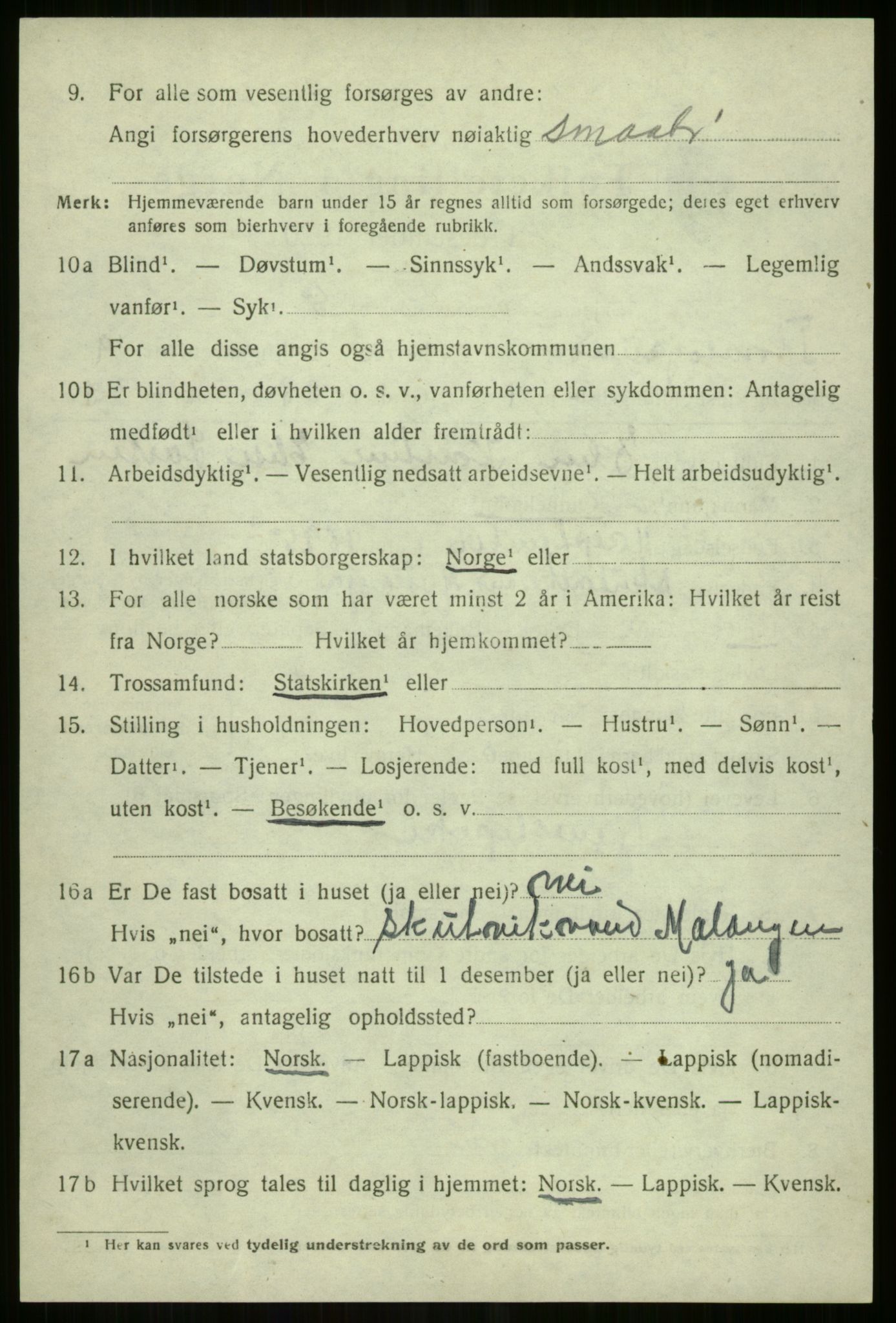 SATØ, 1920 census for Tromsøysund, 1920, p. 10213