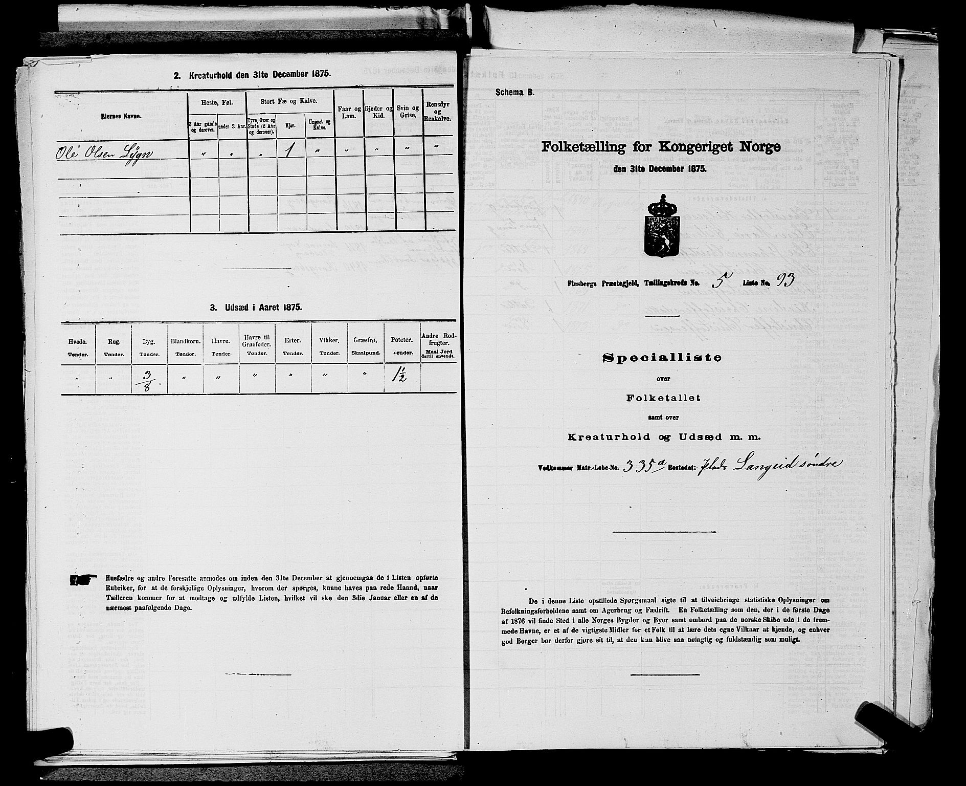 SAKO, 1875 census for 0631P Flesberg, 1875, p. 1071