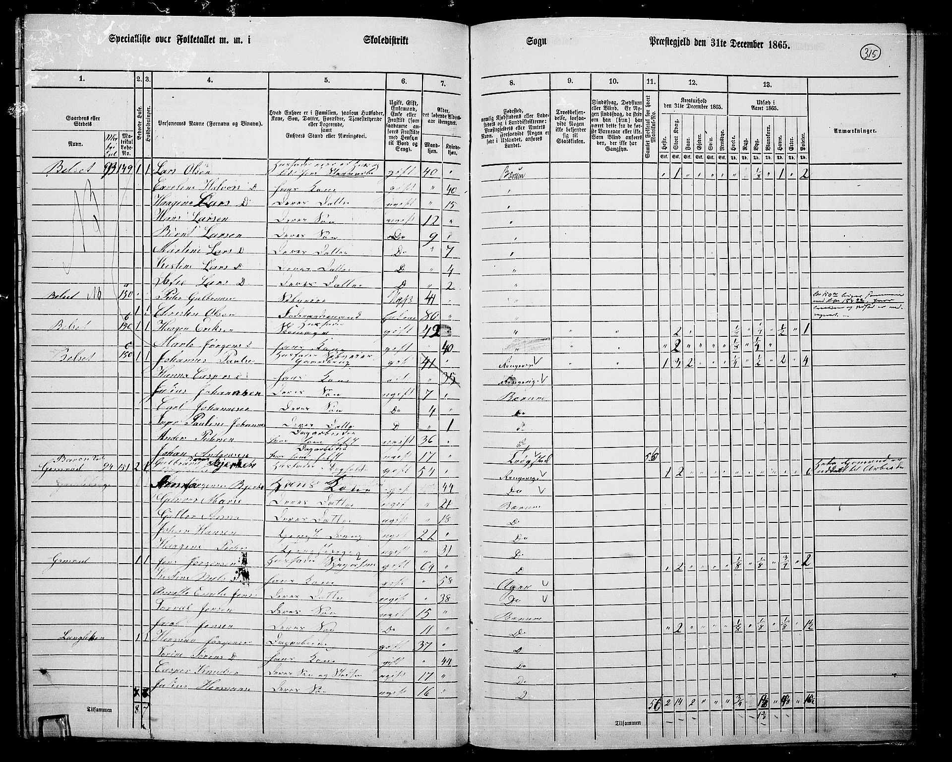 RA, 1865 census for Asker, 1865, p. 304