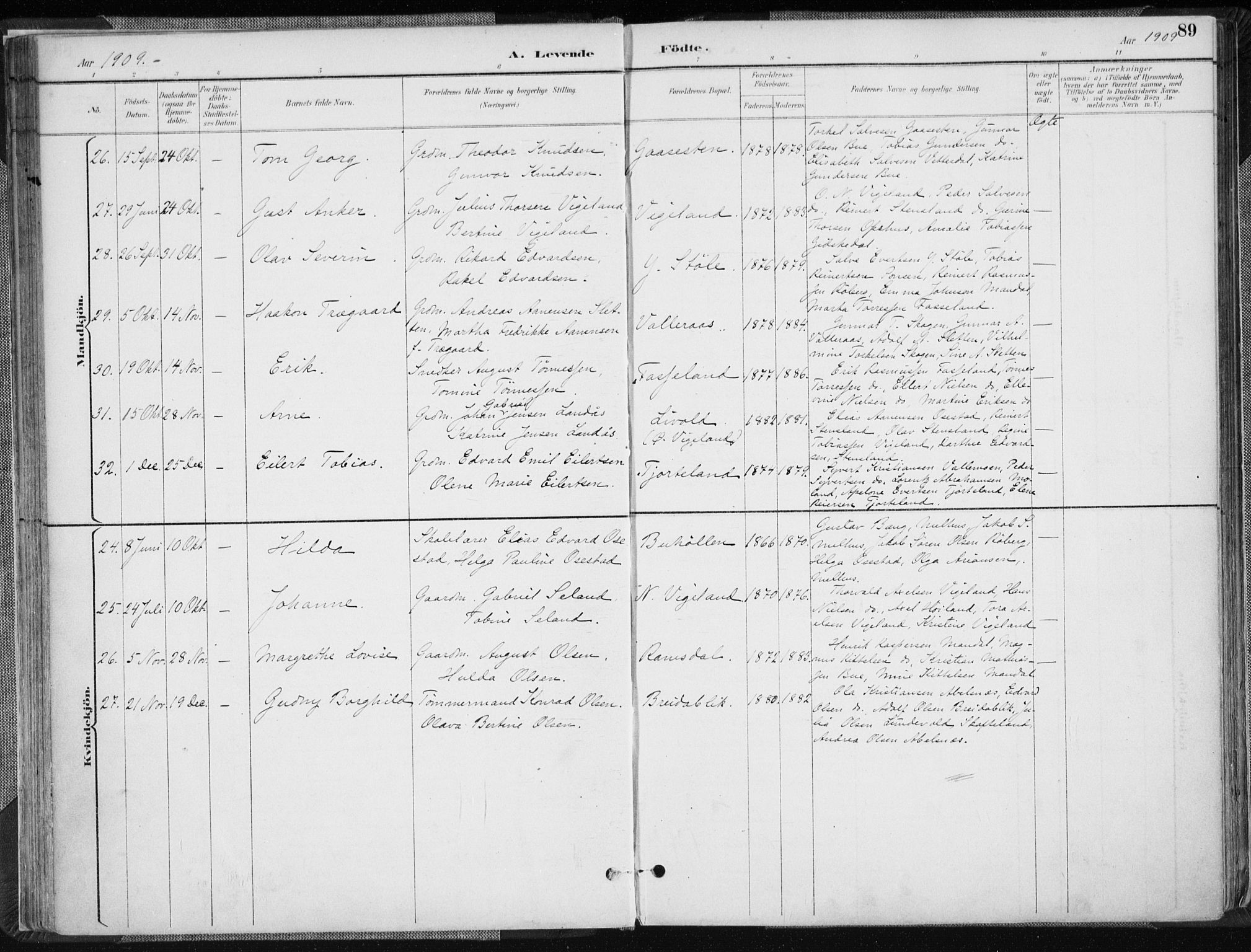 Sør-Audnedal sokneprestkontor, SAK/1111-0039/F/Fa/Fab/L0010: Parish register (official) no. A 10, 1892-1913, p. 89