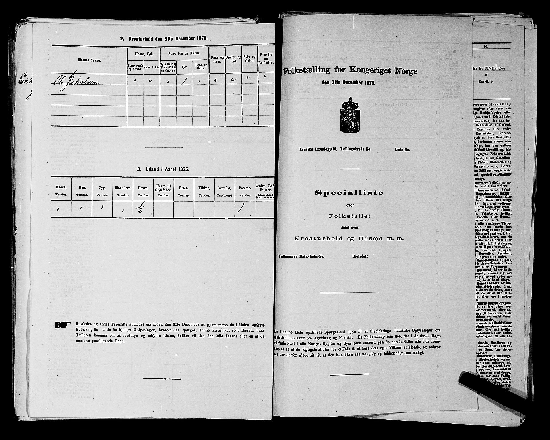 RA, 1875 census for 0113P Borge, 1875, p. 960