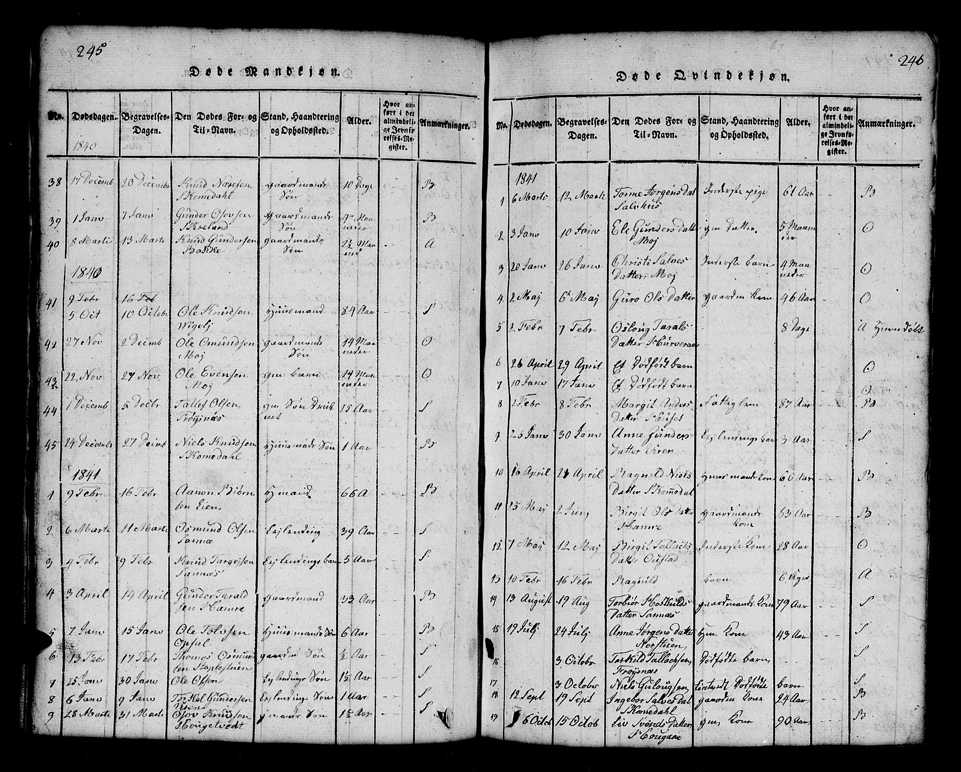 Bygland sokneprestkontor, SAK/1111-0006/F/Fb/Fbb/L0001: Parish register (copy) no. B 1, 1816-1843, p. 246-247