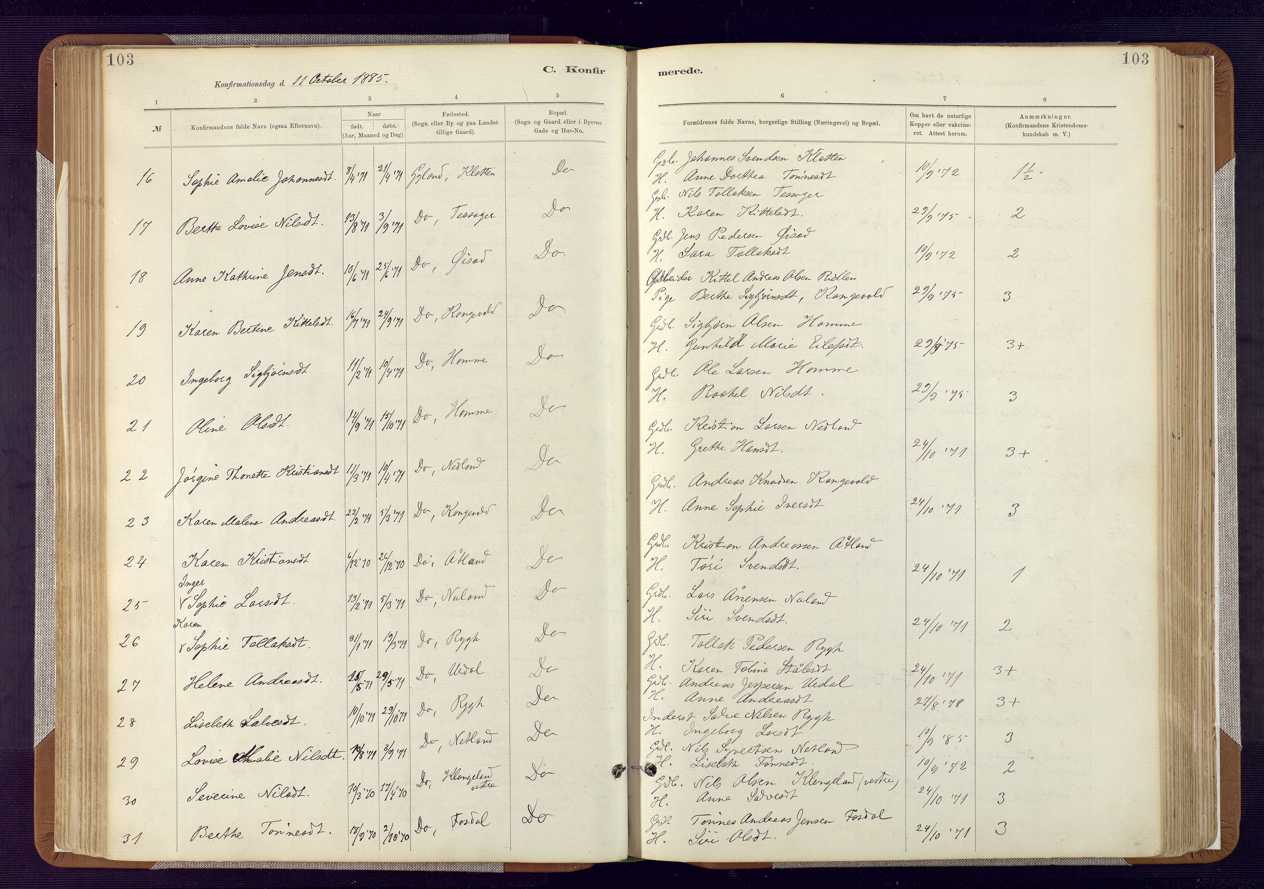 Bakke sokneprestkontor, AV/SAK-1111-0002/F/Fa/Fab/L0003: Parish register (official) no. A 3, 1884-1921, p. 103