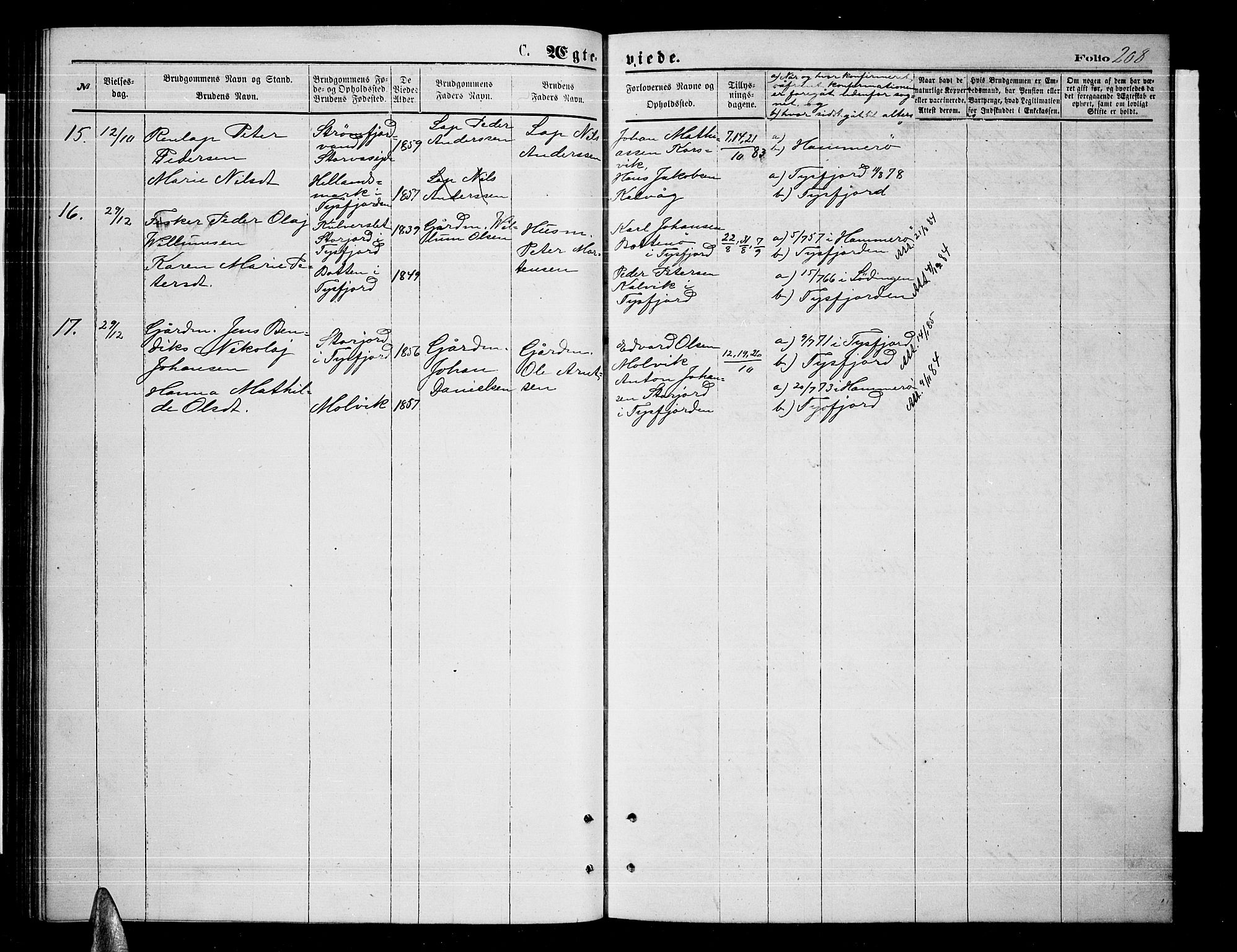 Ministerialprotokoller, klokkerbøker og fødselsregistre - Nordland, AV/SAT-A-1459/859/L0858: Parish register (copy) no. 859C04, 1873-1886, p. 208