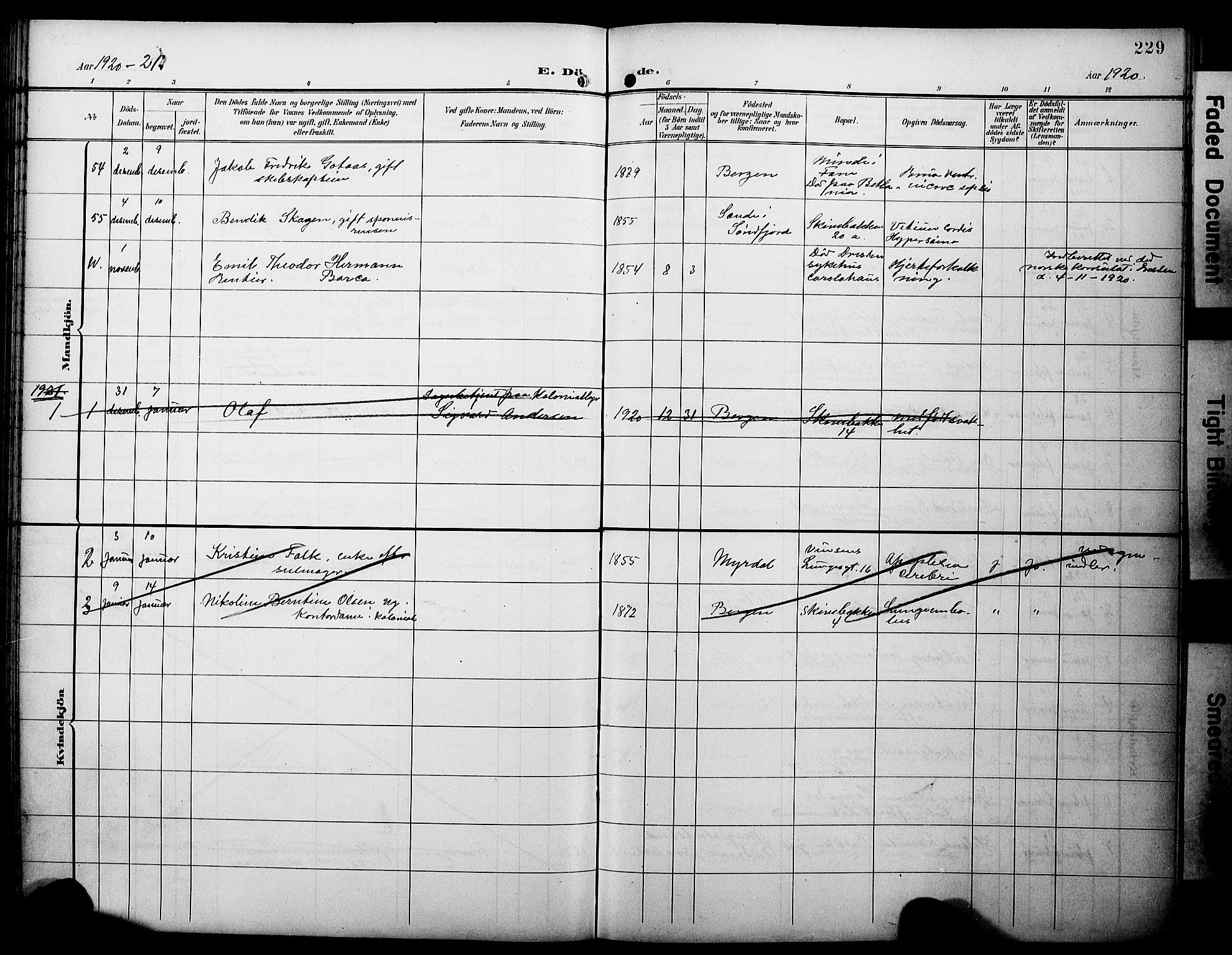 Domkirken sokneprestembete, SAB/A-74801/H/Hab/L0042: Parish register (copy) no. E 6, 1900-1929, p. 229