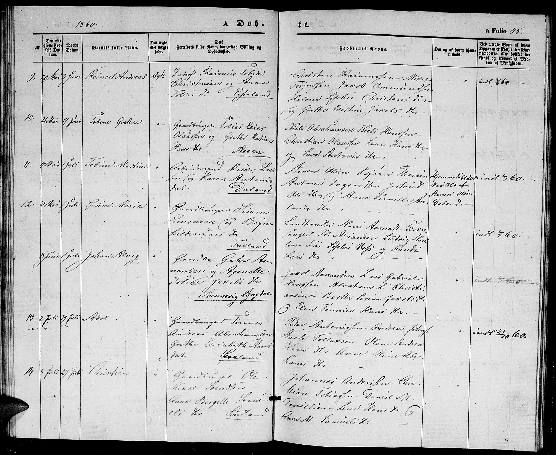 Herad sokneprestkontor, SAK/1111-0018/F/Fb/Fba/L0002: Parish register (copy) no. B 2, 1852-1862, p. 45