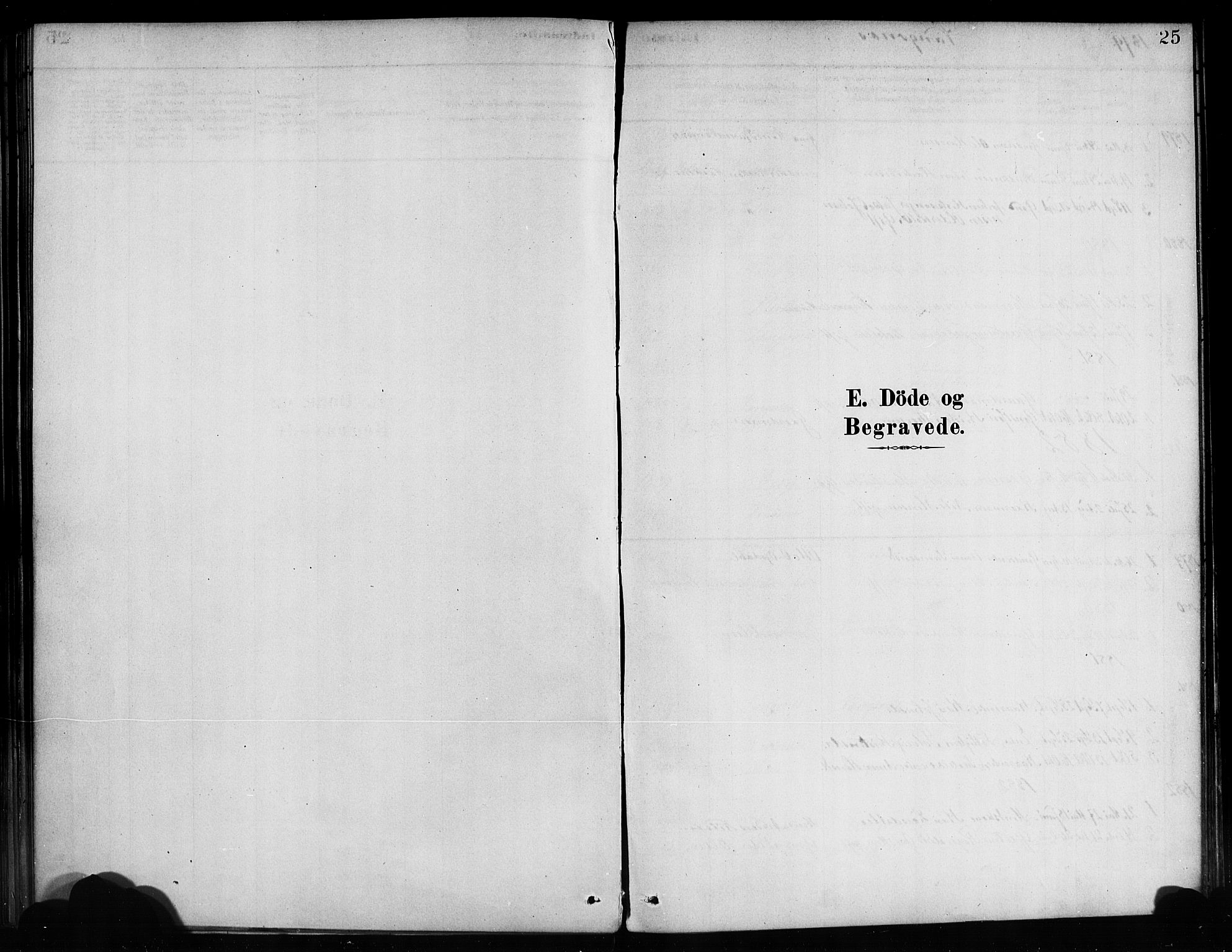 Balestrand sokneprestembete, AV/SAB-A-79601/H/Haa/Haaa/L0004: Parish register (official) no. A 4 / 3, 1879-1888, p. 25