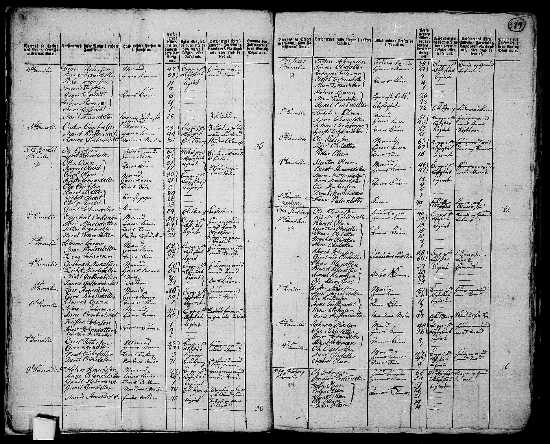 RA, 1801 census for 0521P Øyer, 1801, p. 388b-389a