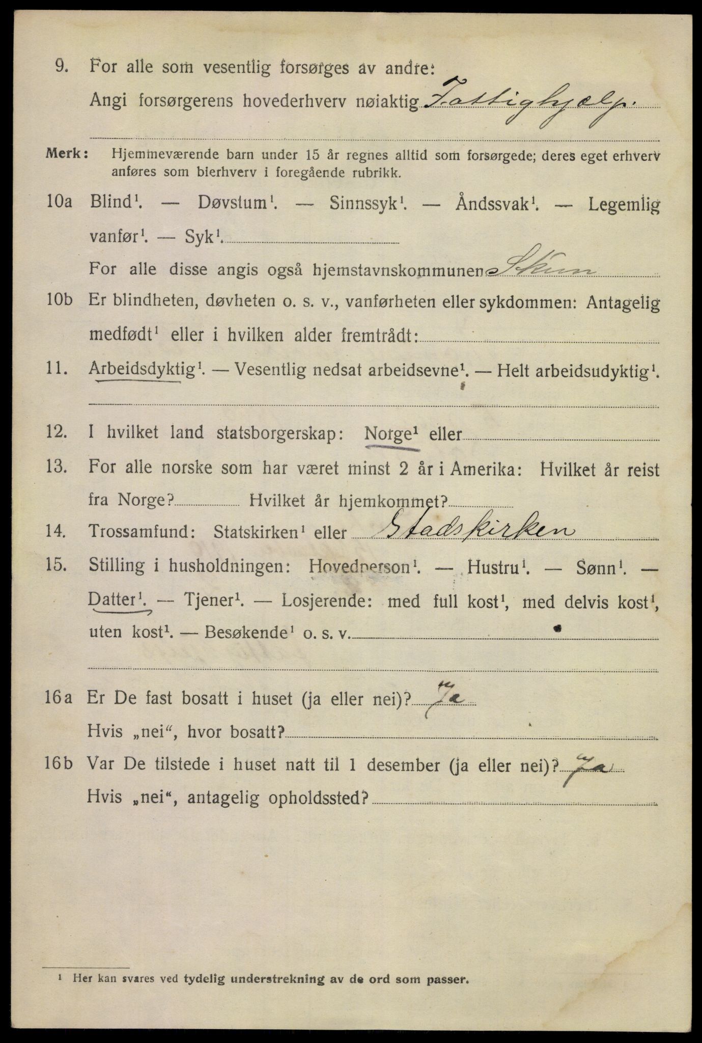 SAKO, 1920 census for Skien, 1920, p. 21787