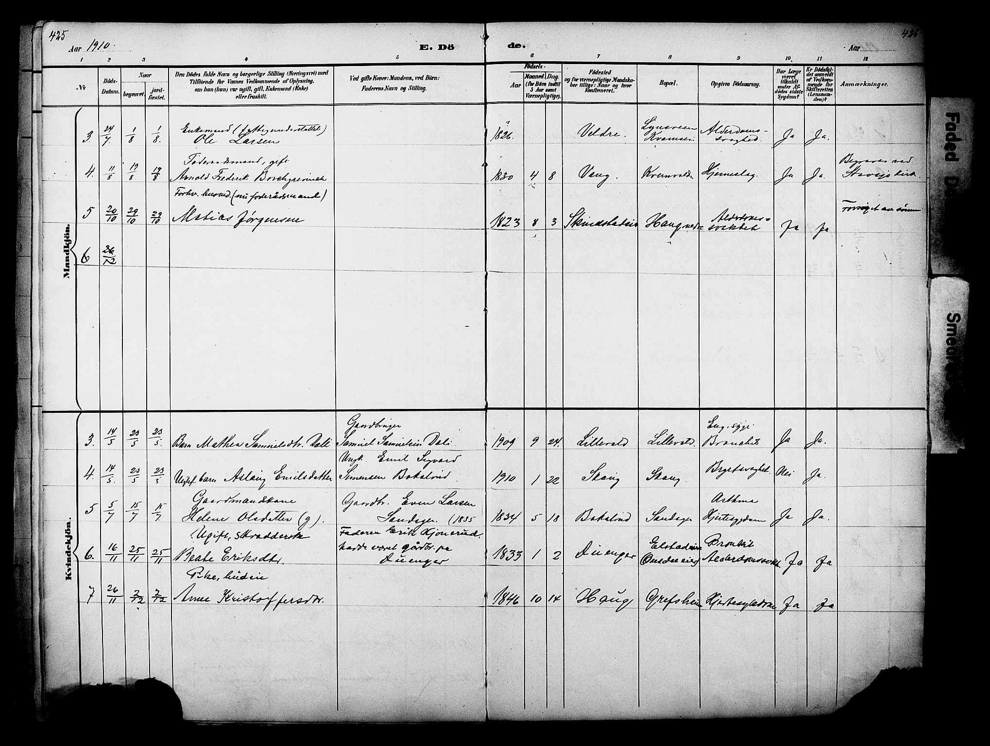 Nes prestekontor, Hedmark, AV/SAH-PREST-020/L/La/L0006: Parish register (copy) no. 6, 1890-1932, p. 425-426